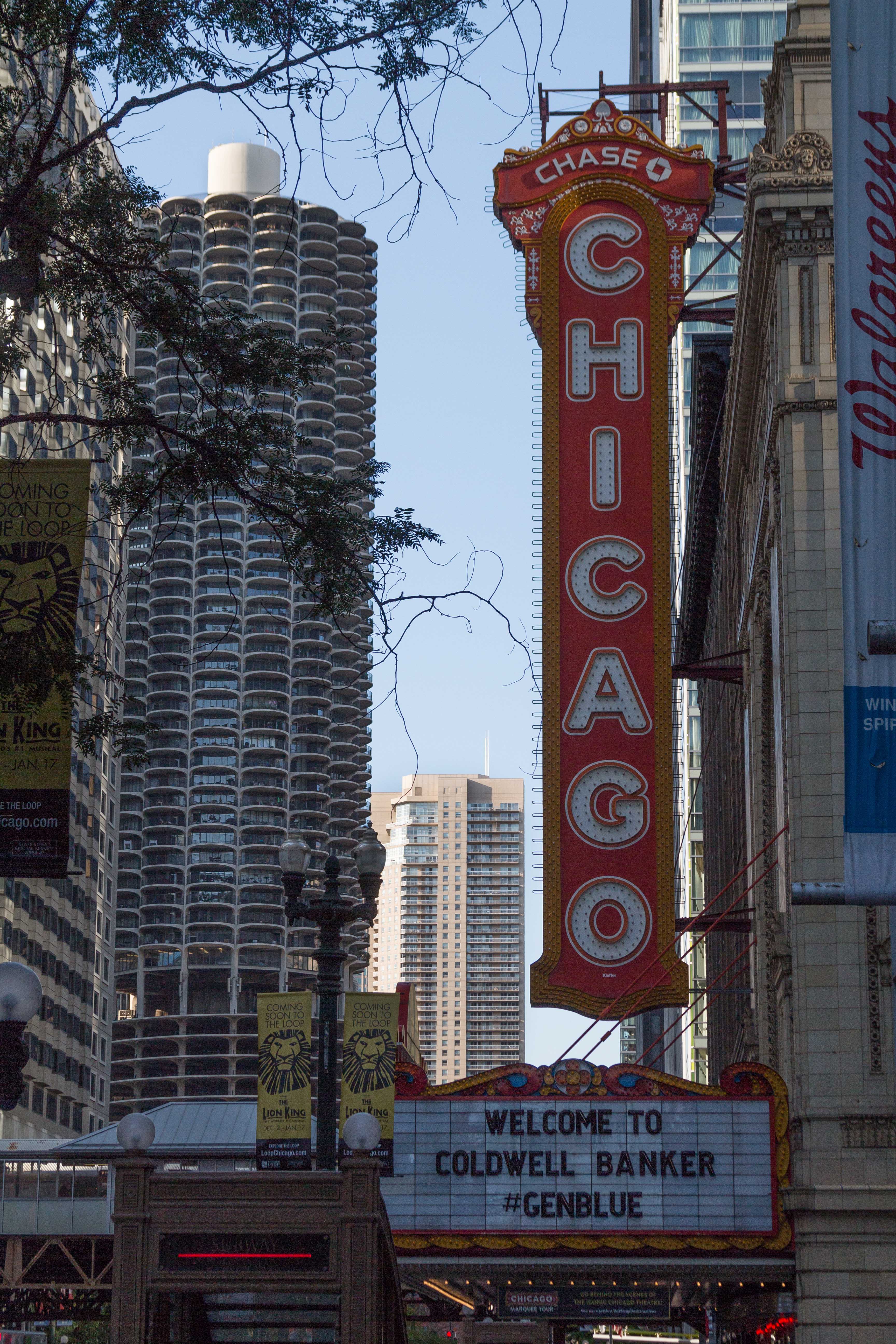 Chicago September 2015 | https://www.roseclearfield.com