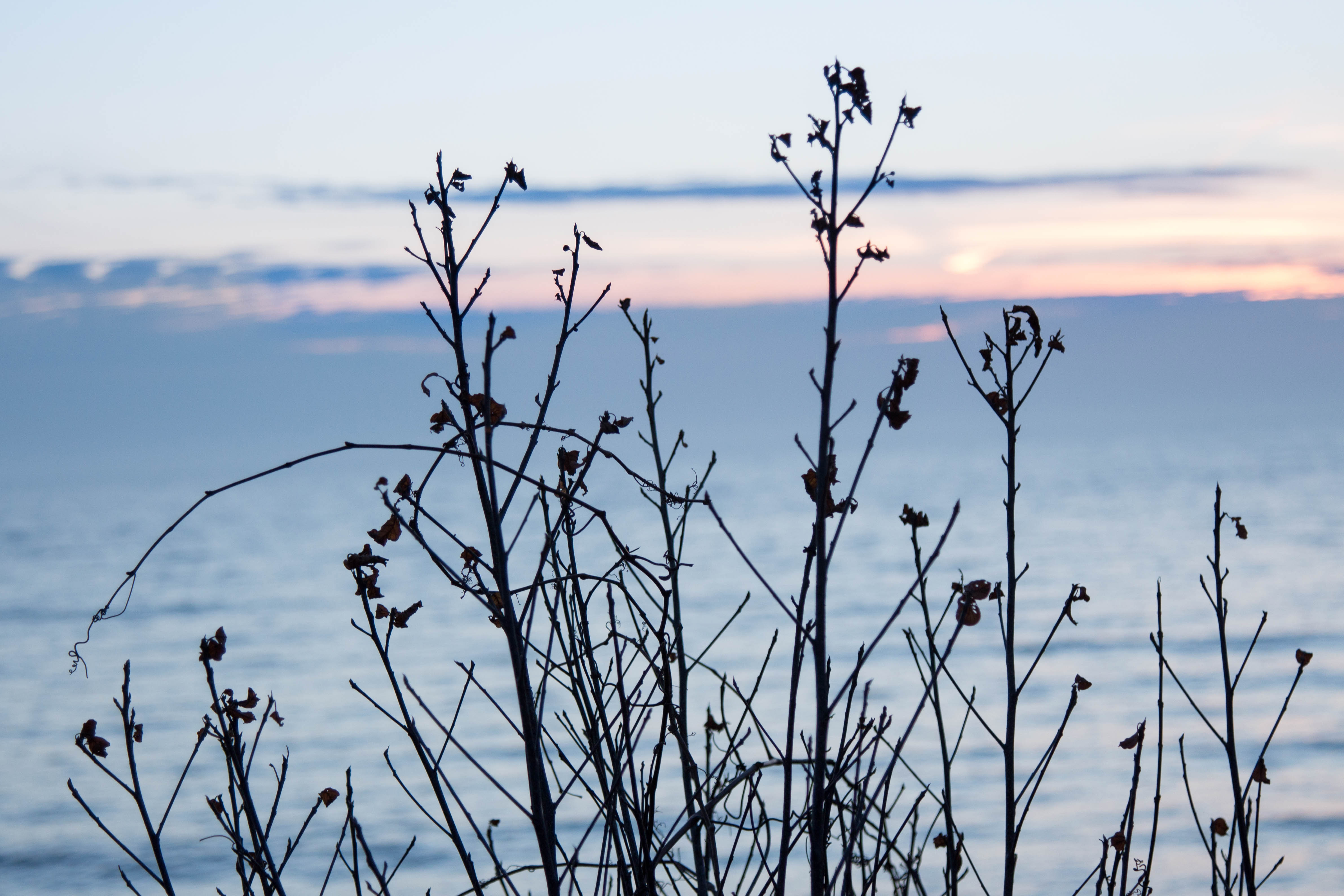 Sunrise over Lake Michigan February 2017 | https://www.roseclearfield.com