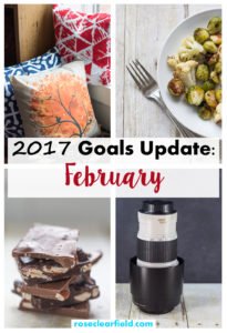2017 Goals Update: February | https://www.roseclearfield.com