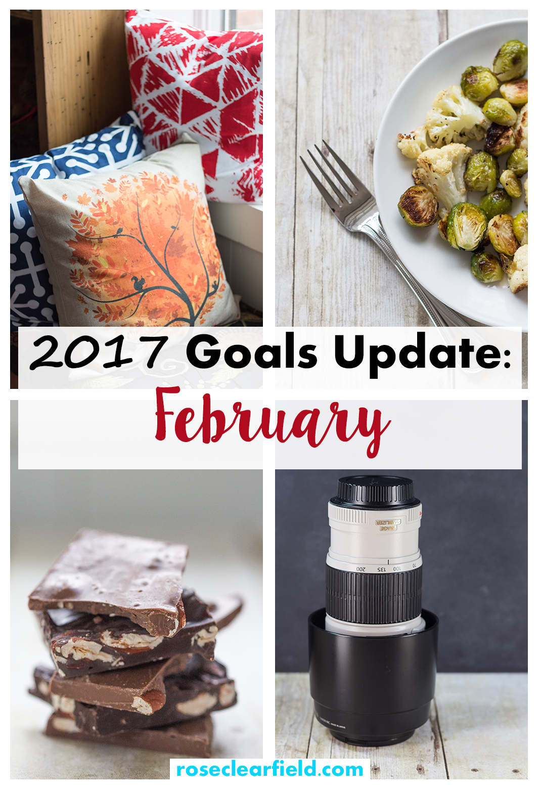 2017 Goals Update: February | https://www.roseclearfield.com