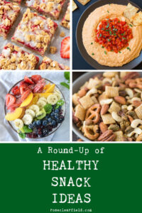 A Round-Up of Healthy Snack Ideas