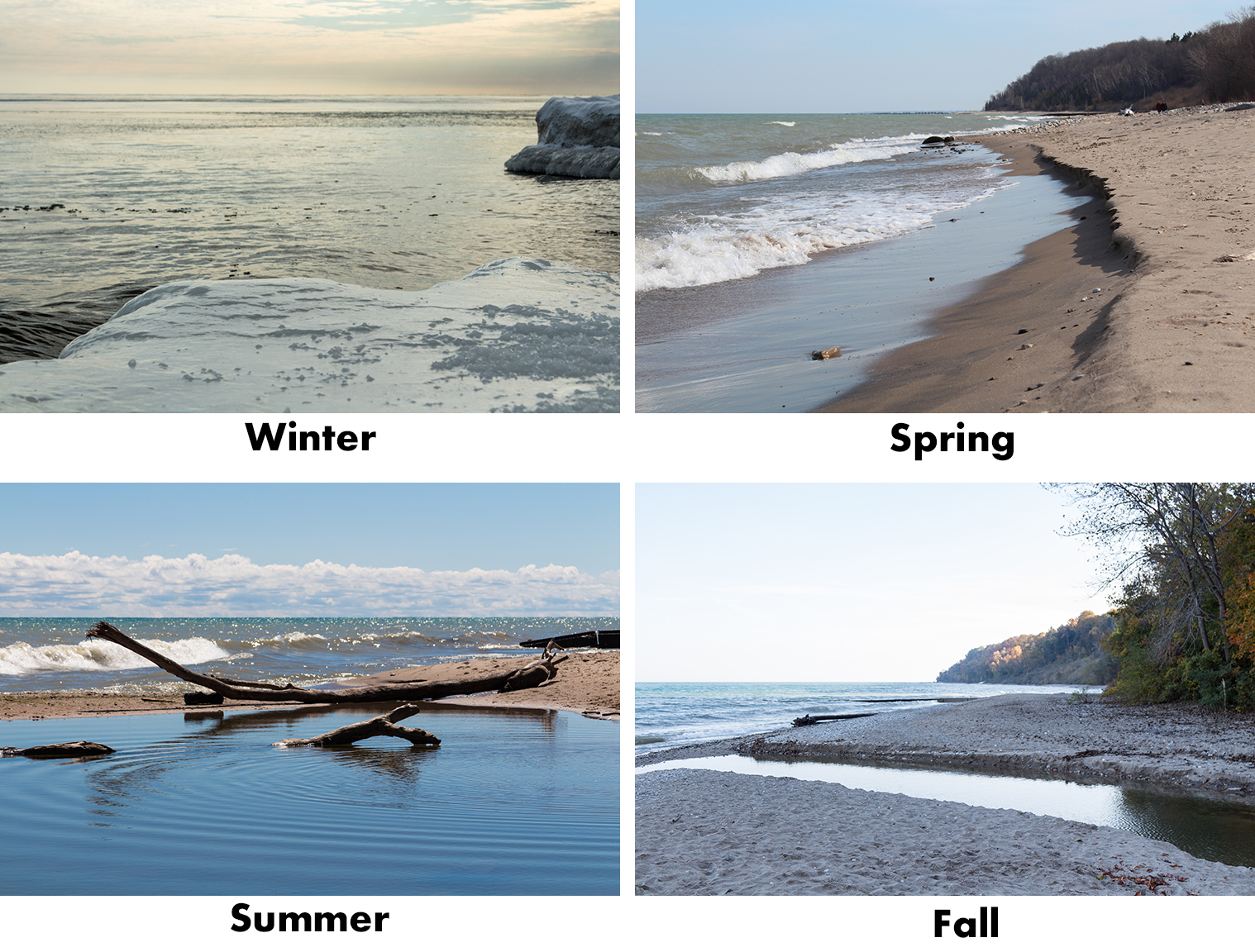 Beach in Four Seasons | https://www.roseclearfield.com