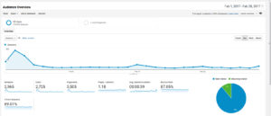 February 2017 Page Views Google Analytics | https://www.roseclearfield.com