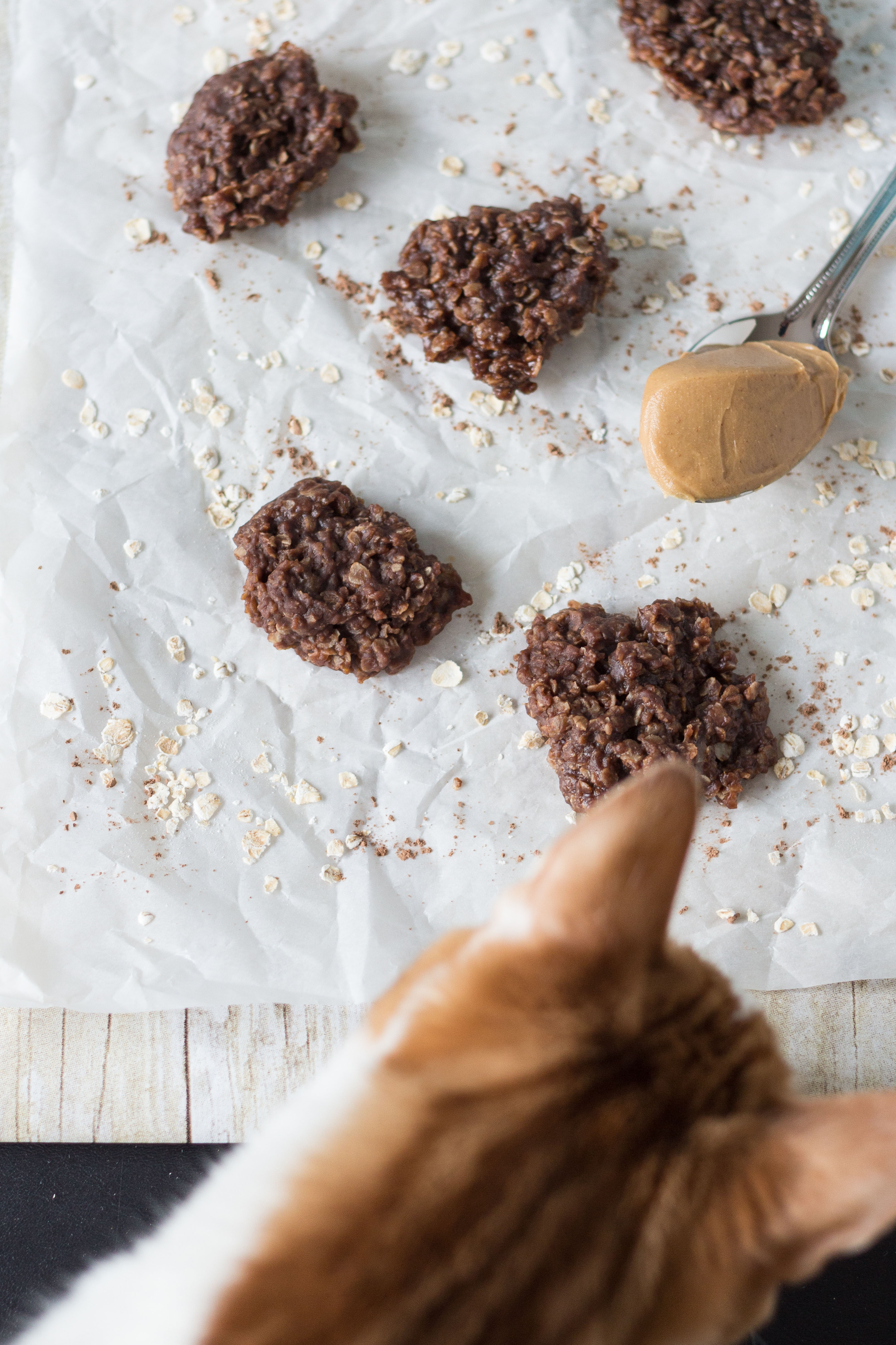 No-Bake Chocolate Oatmeal Peanut Butter Cookies Kitty Helper | https://www.roseclearfield.com