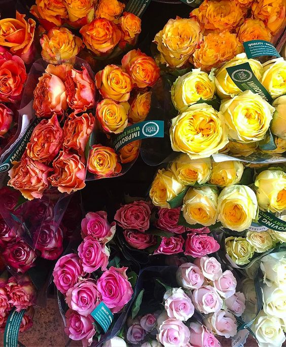 Multicolored Flower Inspiration from How Sweet Eats on Instagram | https://www.roseclearfield.com