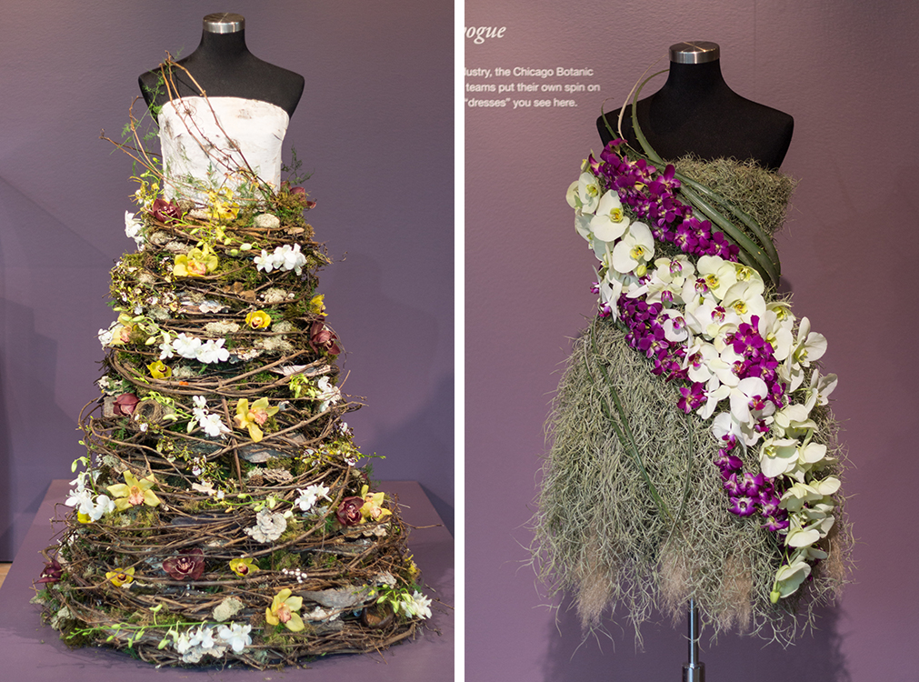 Orchids in Vogue Chicago Botanic Gardens Outfits | https://www.roseclearfield.com