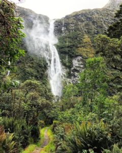 Sutherland Falls New Zealand by livewell_traveloften on Instagram | https://www.roseclearfield.com
