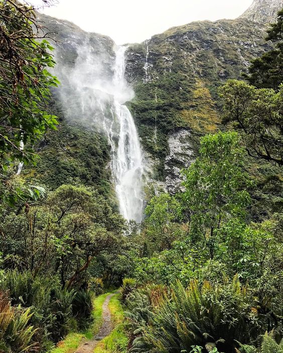 Sutherland Falls New Zealand by livewell_traveloften on Instagram | https://www.roseclearfield.com