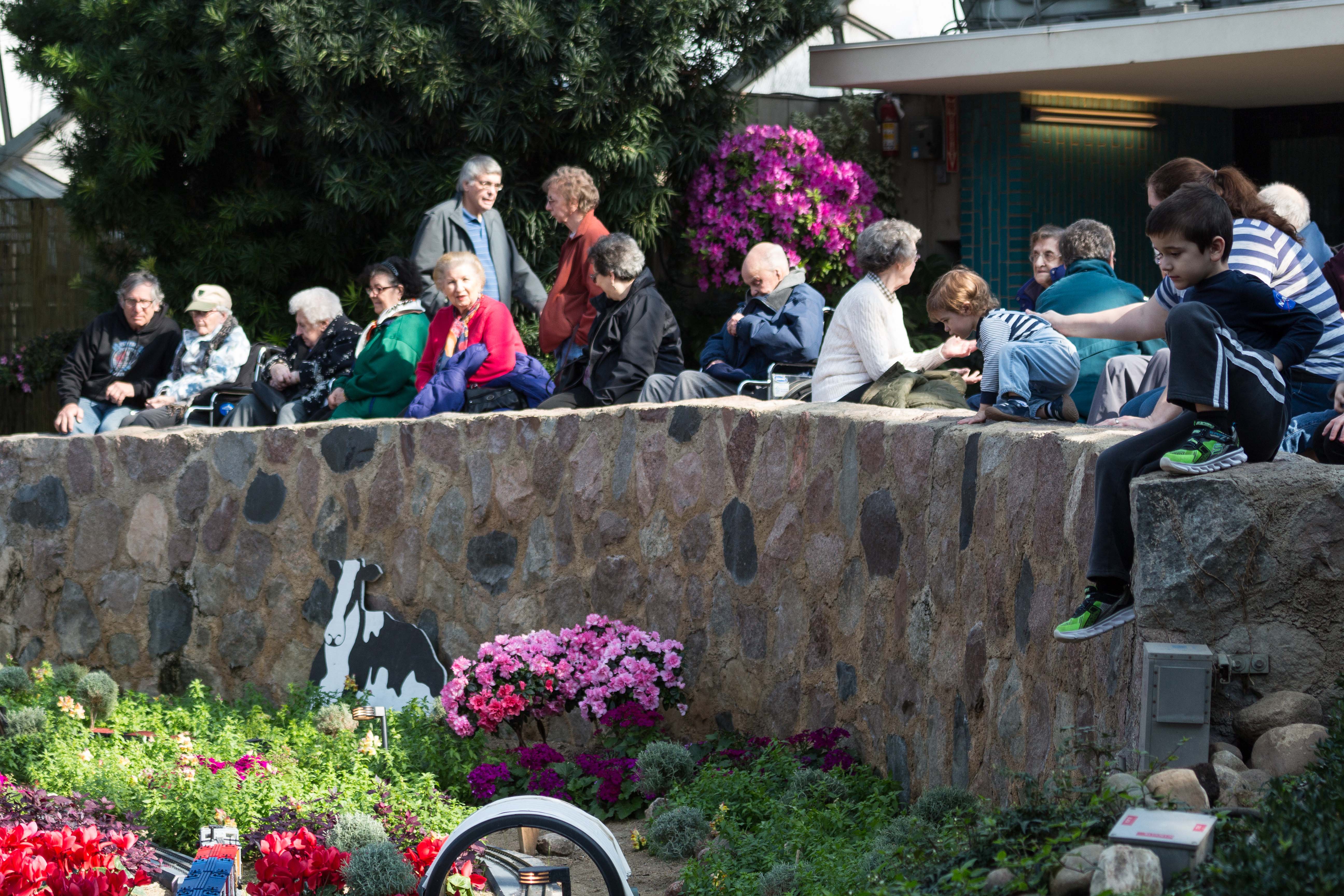 The Great Train Robbery Train Show at the Domes | https://www.roseclearfield.com