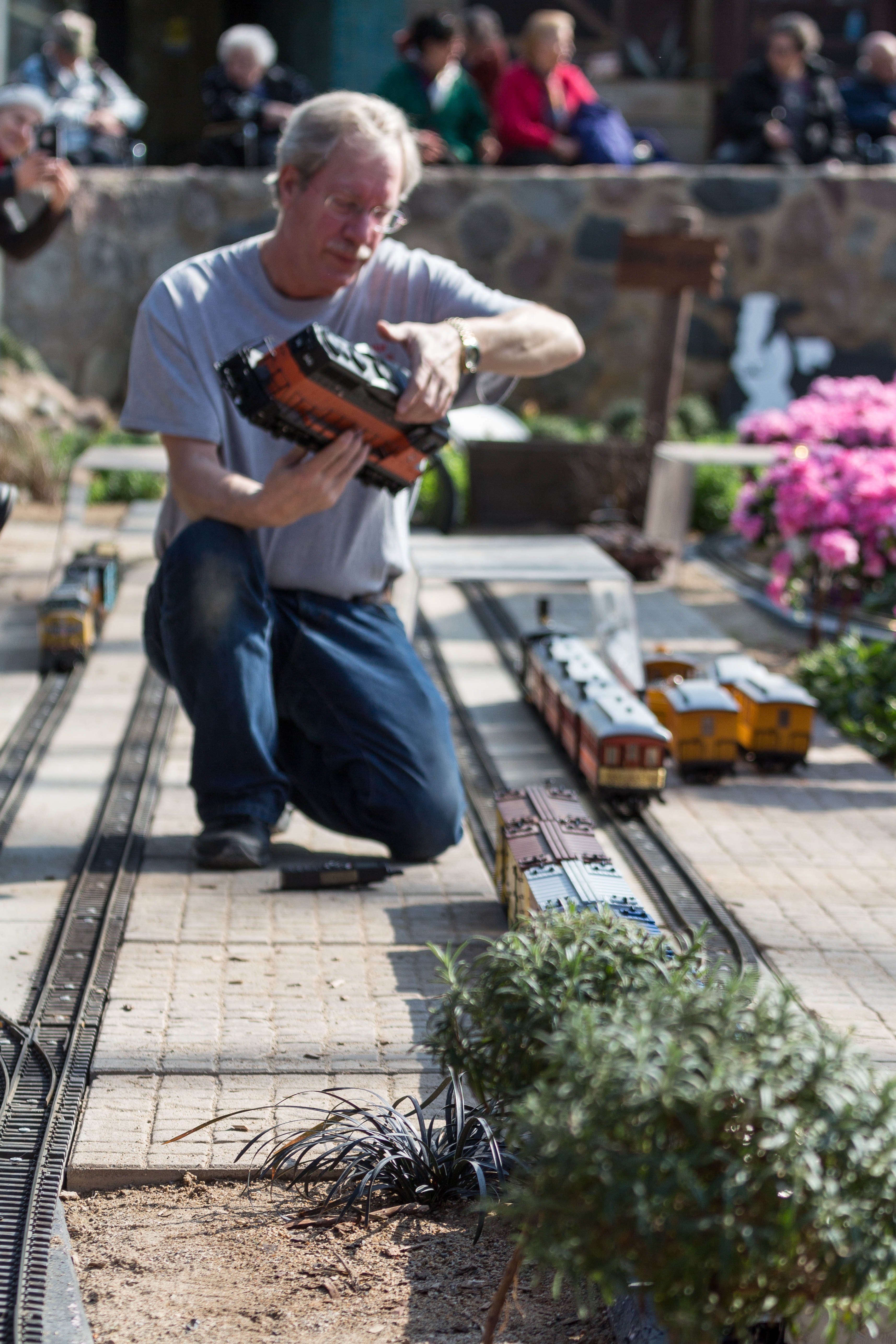 The Great Train Robbery Train Show at the Domes | https://www.roseclearfield.com