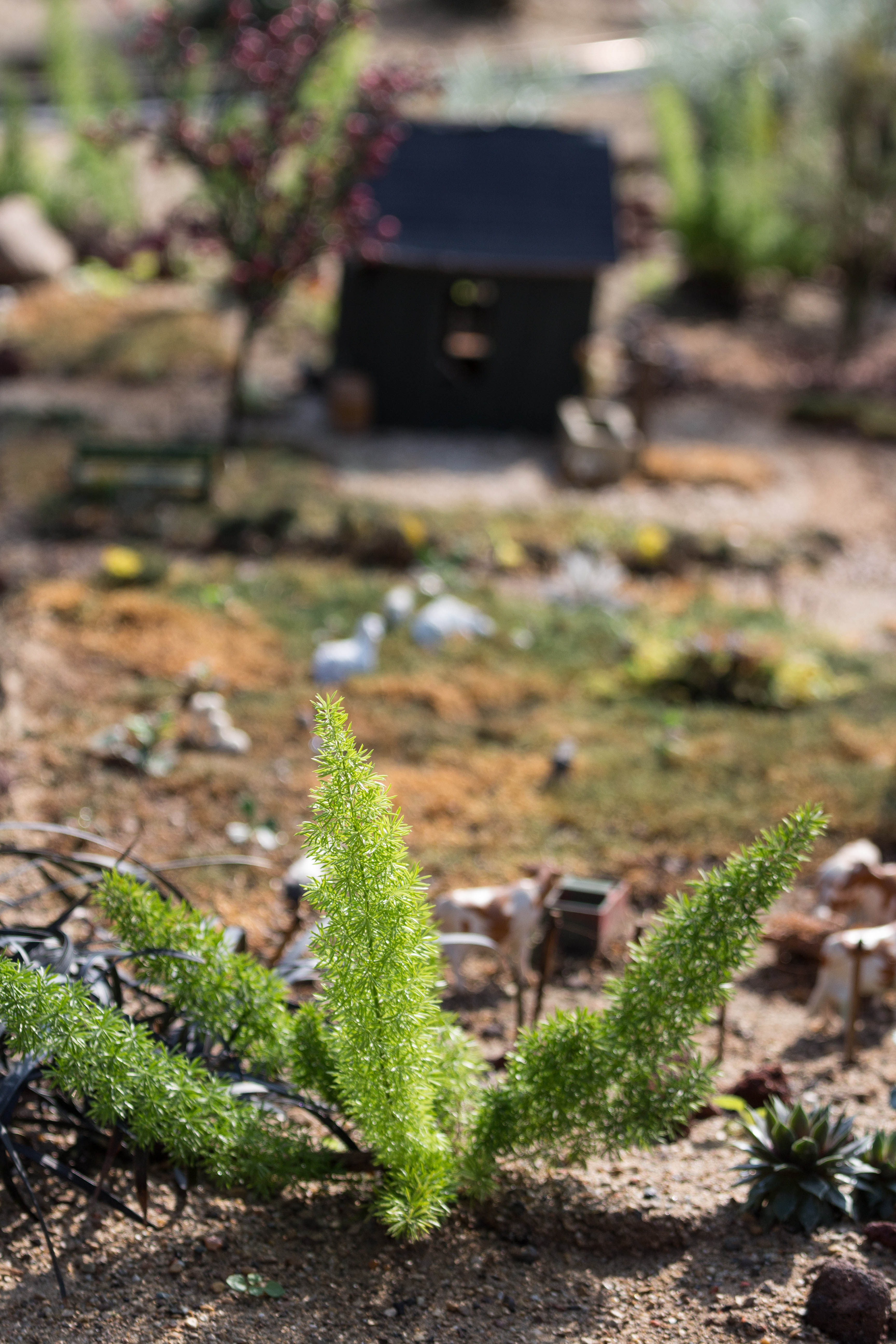 The Great Train Robbery Train Show at the Domes | https://www.roseclearfield.com