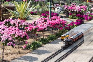 The Great Train Robbery Train Show at the Domes | https://www.roseclearfield.com