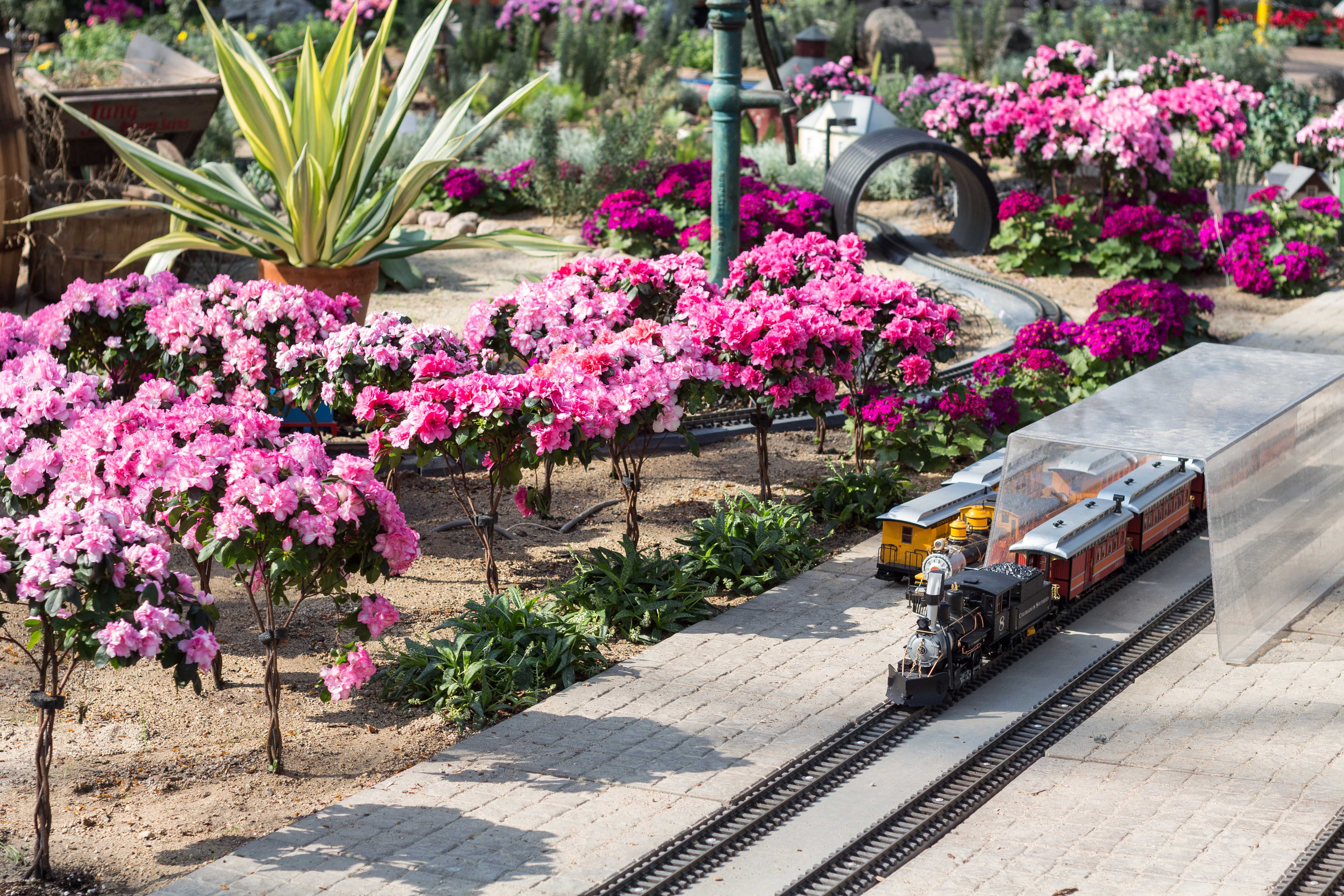 The Great Train Robbery Train Show at the Domes | https://www.roseclearfield.com