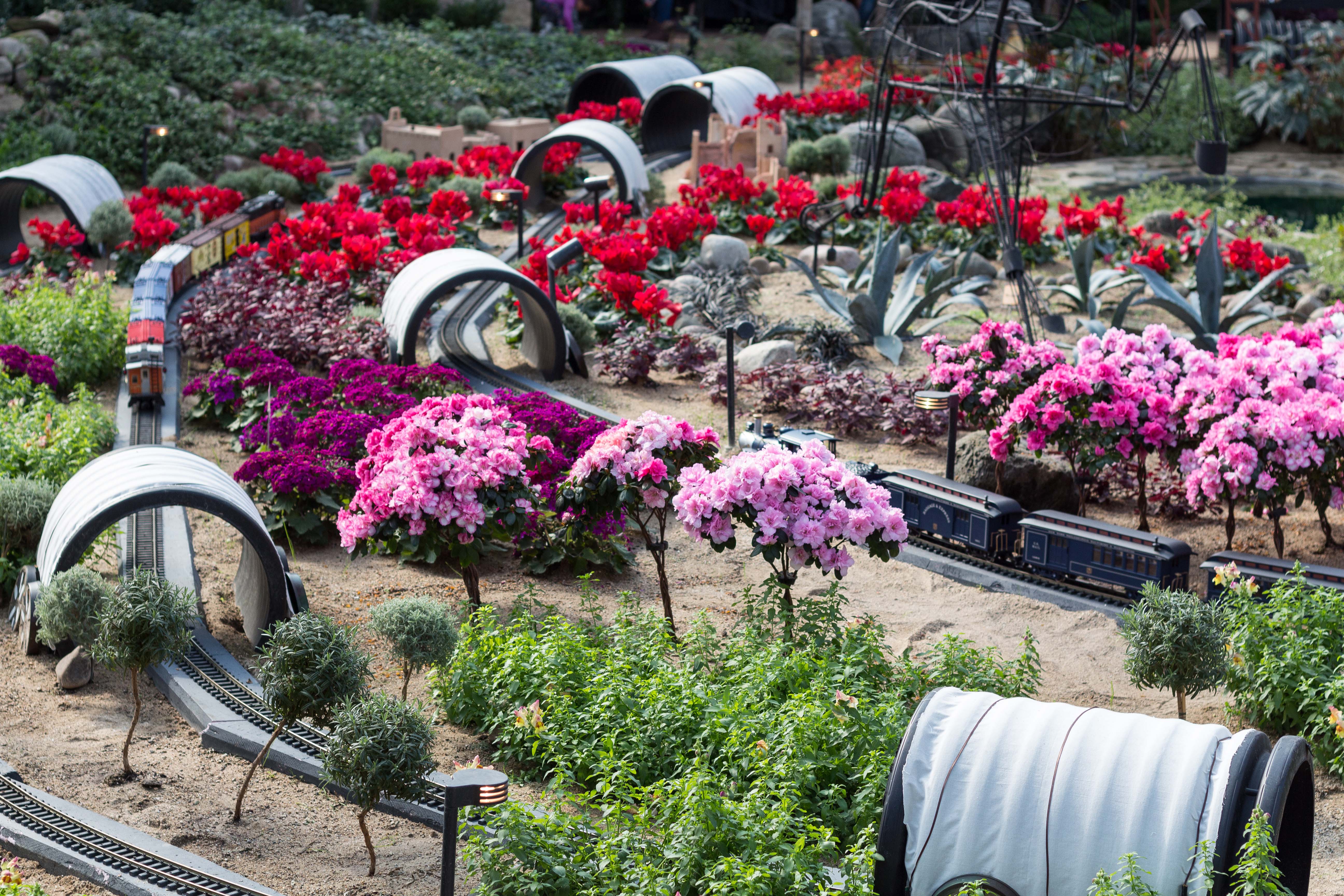 The Great Train Robbery Train Show at the Domes | https://www.roseclearfield.com