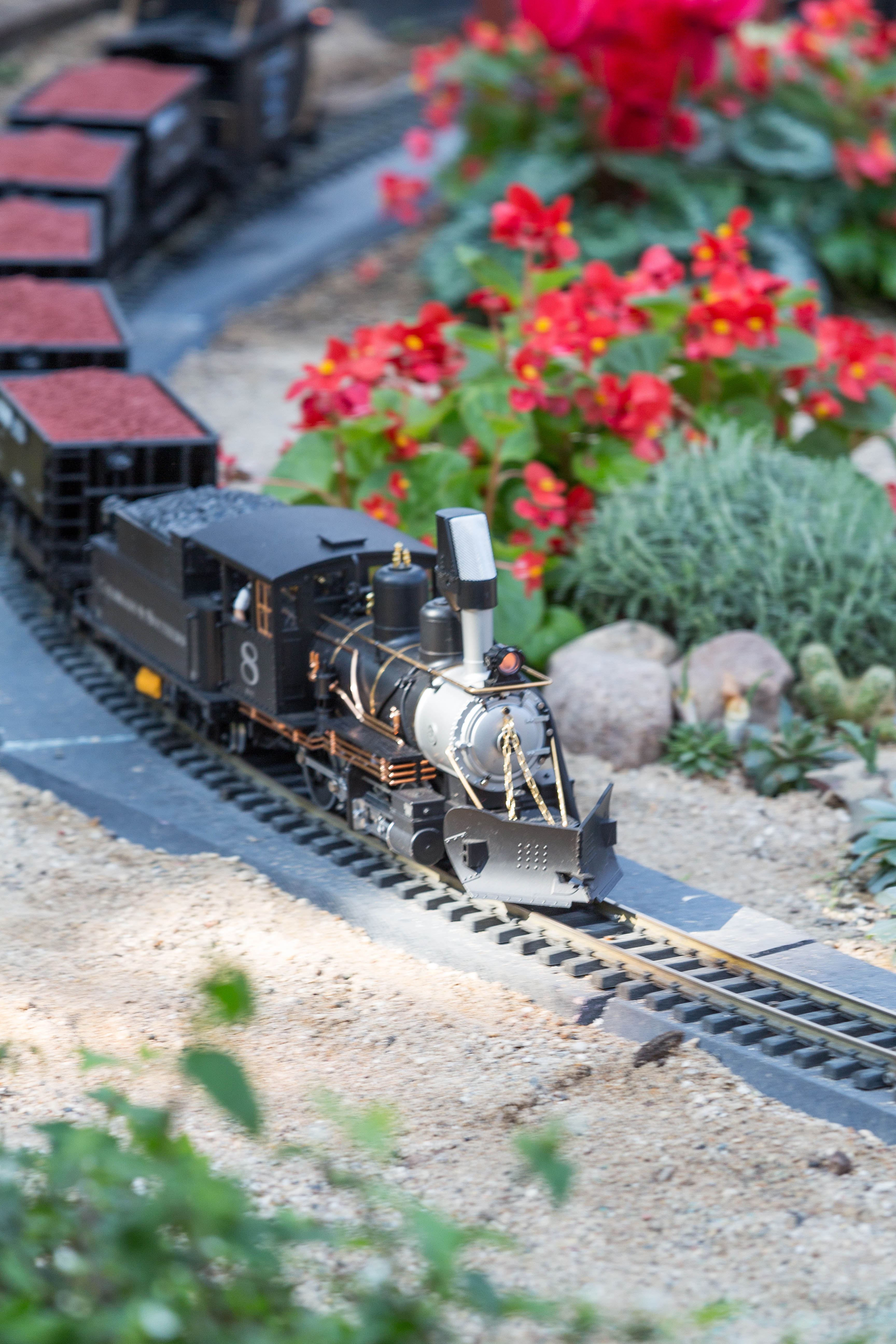 The Great Train Robbery Train Show at the Domes | https://www.roseclearfield.com