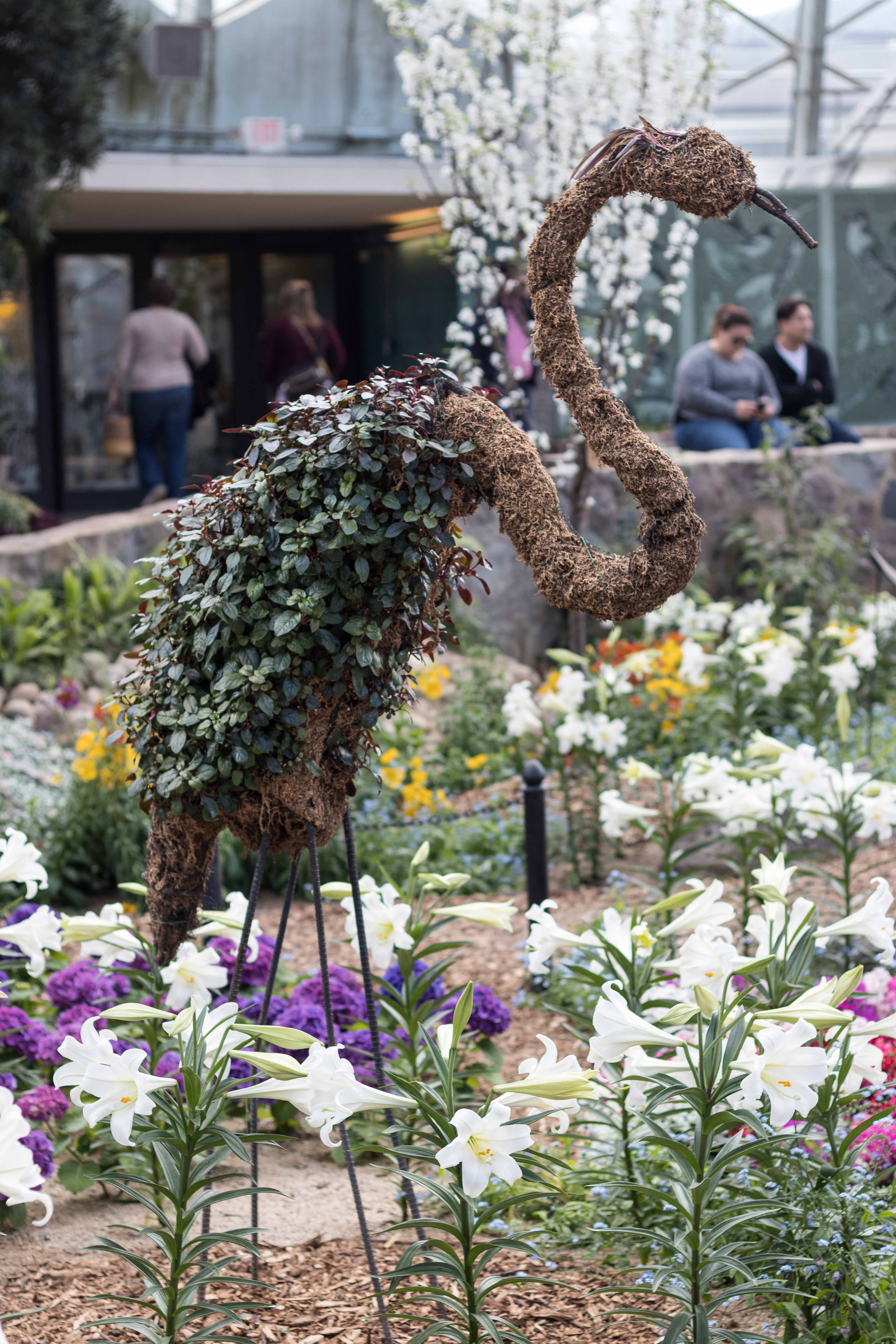 For the Birds Spring Floral Show at the Domes | https://www.roseclearfield.com