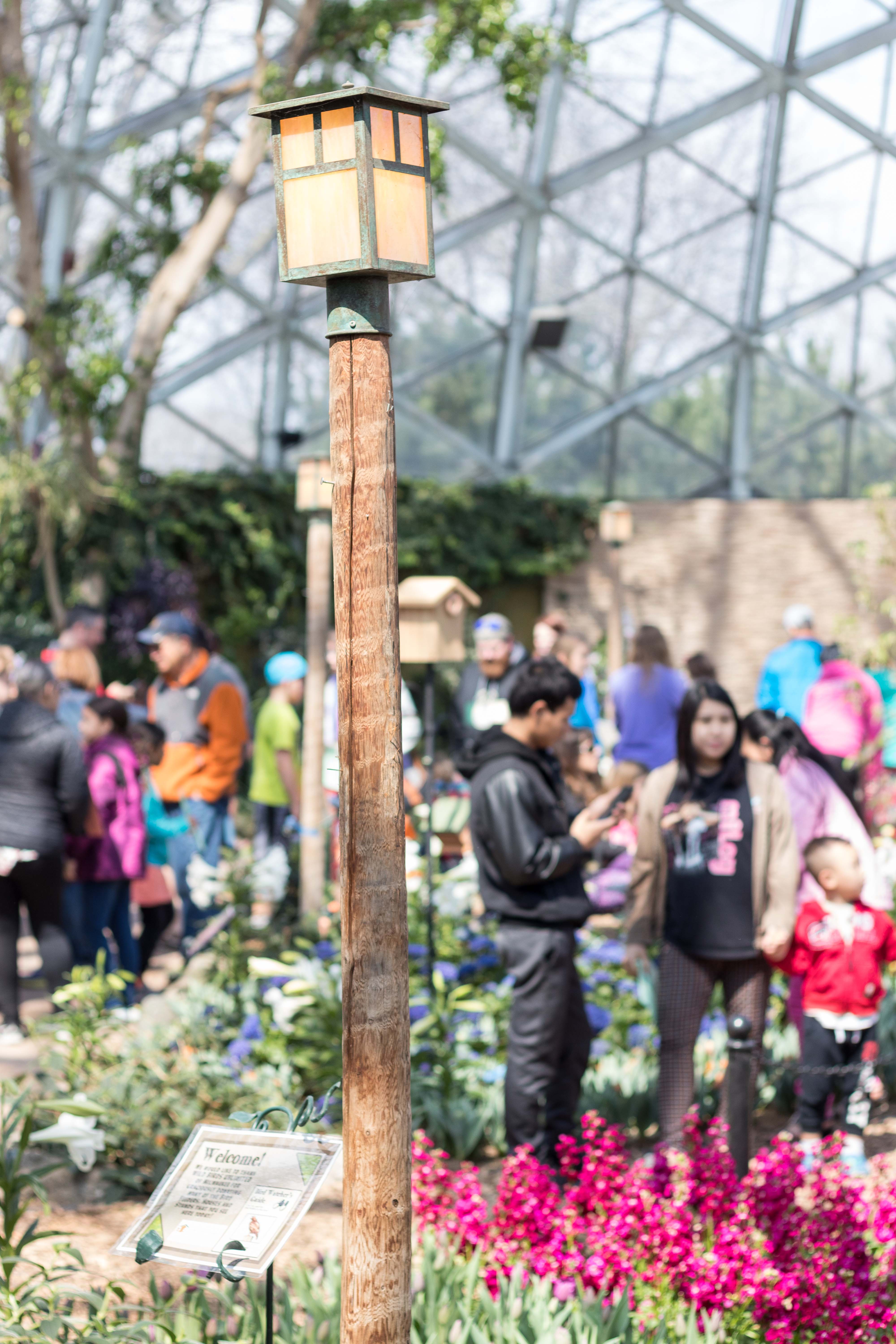 For the Birds Spring Floral Show at the Domes | https://www.roseclearfield.com