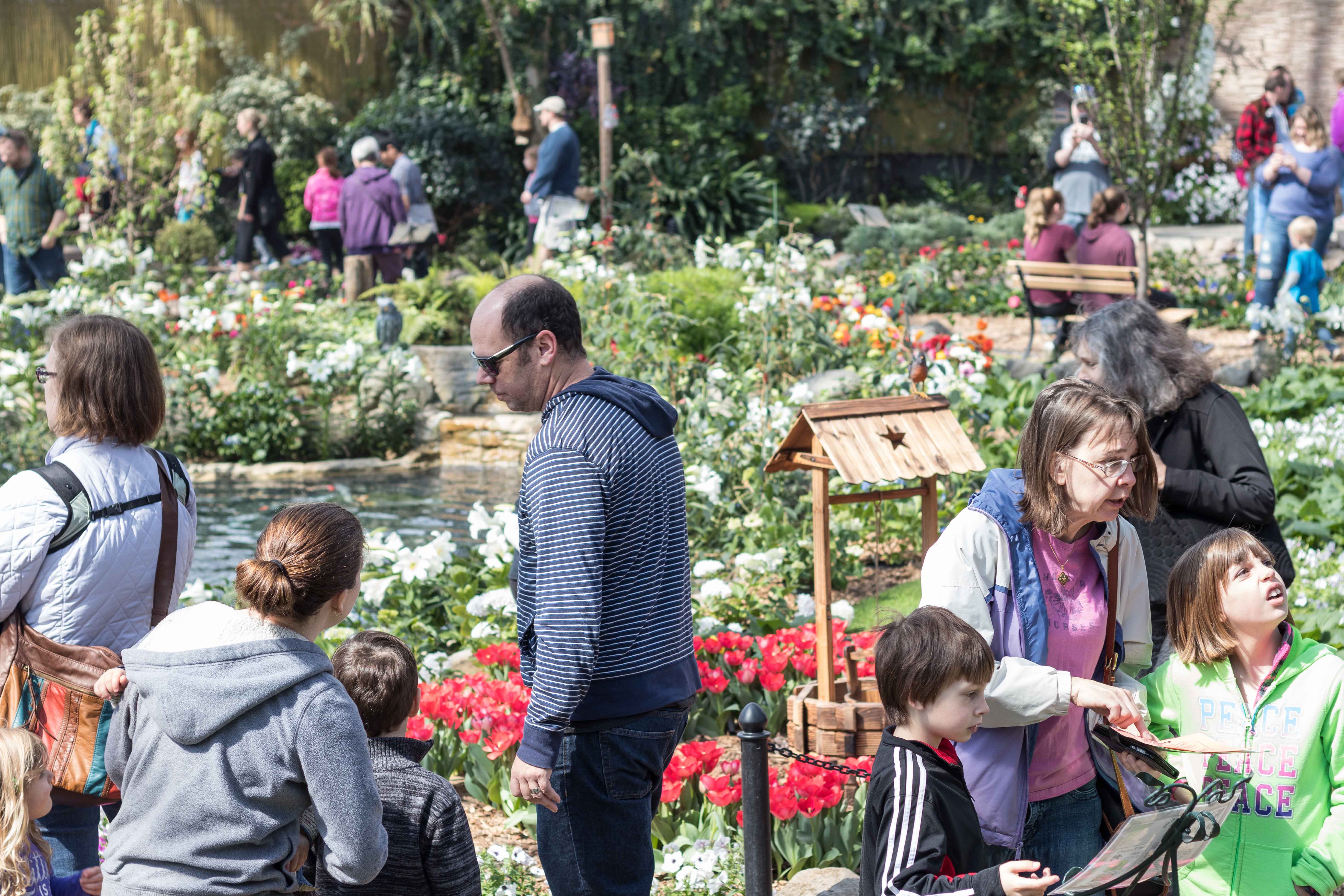 For the Birds Spring Floral Show at the Domes | https://www.roseclearfield.com