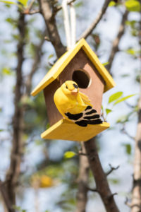 For the Birds Spring Floral Show at the Domes | https://www.roseclearfield.com