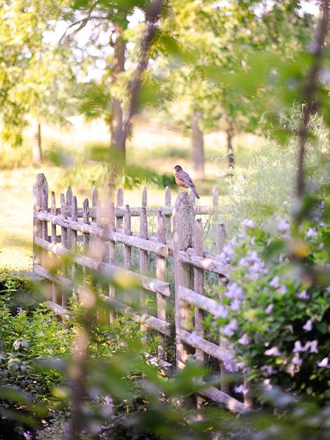 Spring Inspiration 3 | https://www.roseclearfield.com
