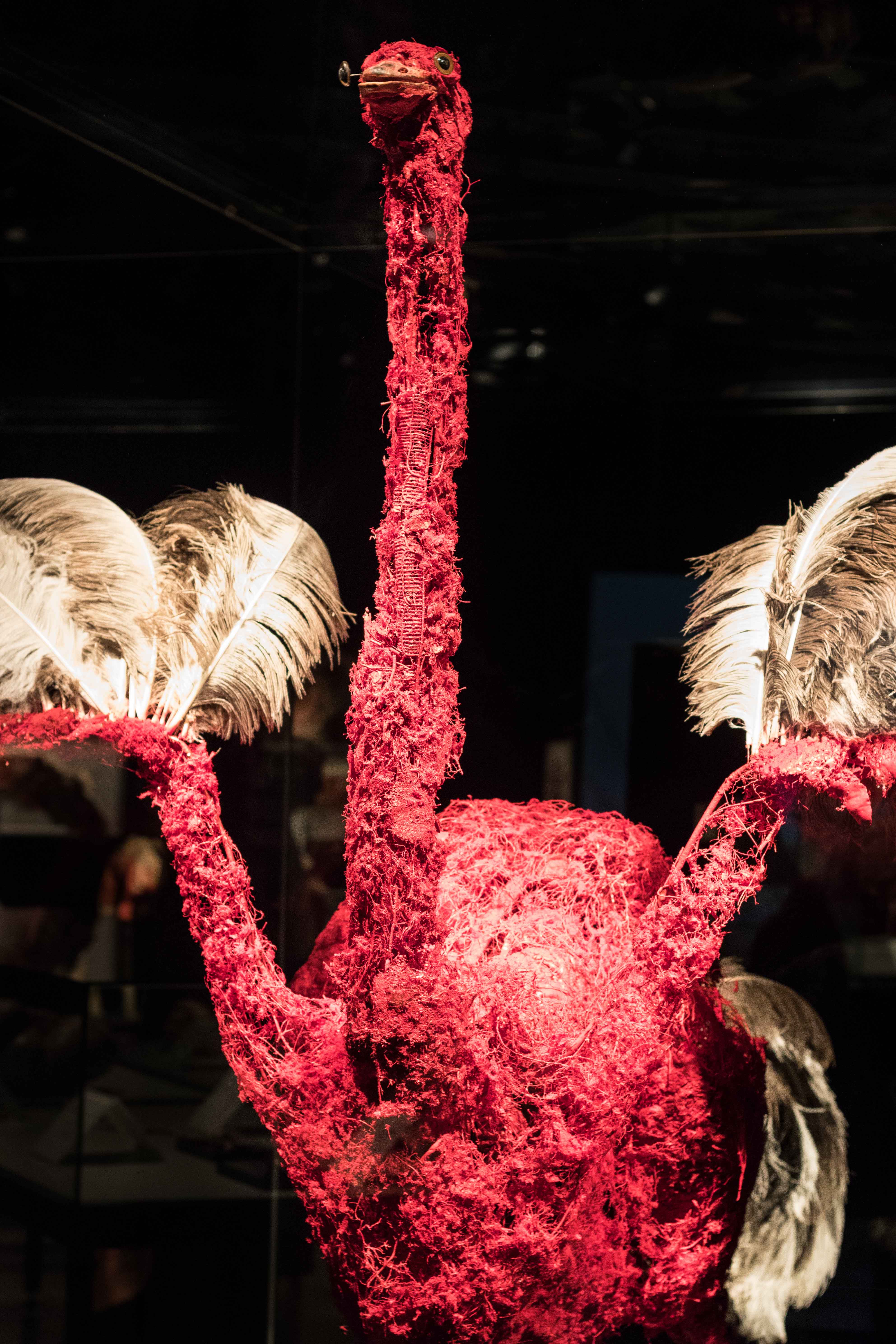 Body Worlds Animal Inside Out, Milwaukee County Zoo | https://www.roseclearfield.com