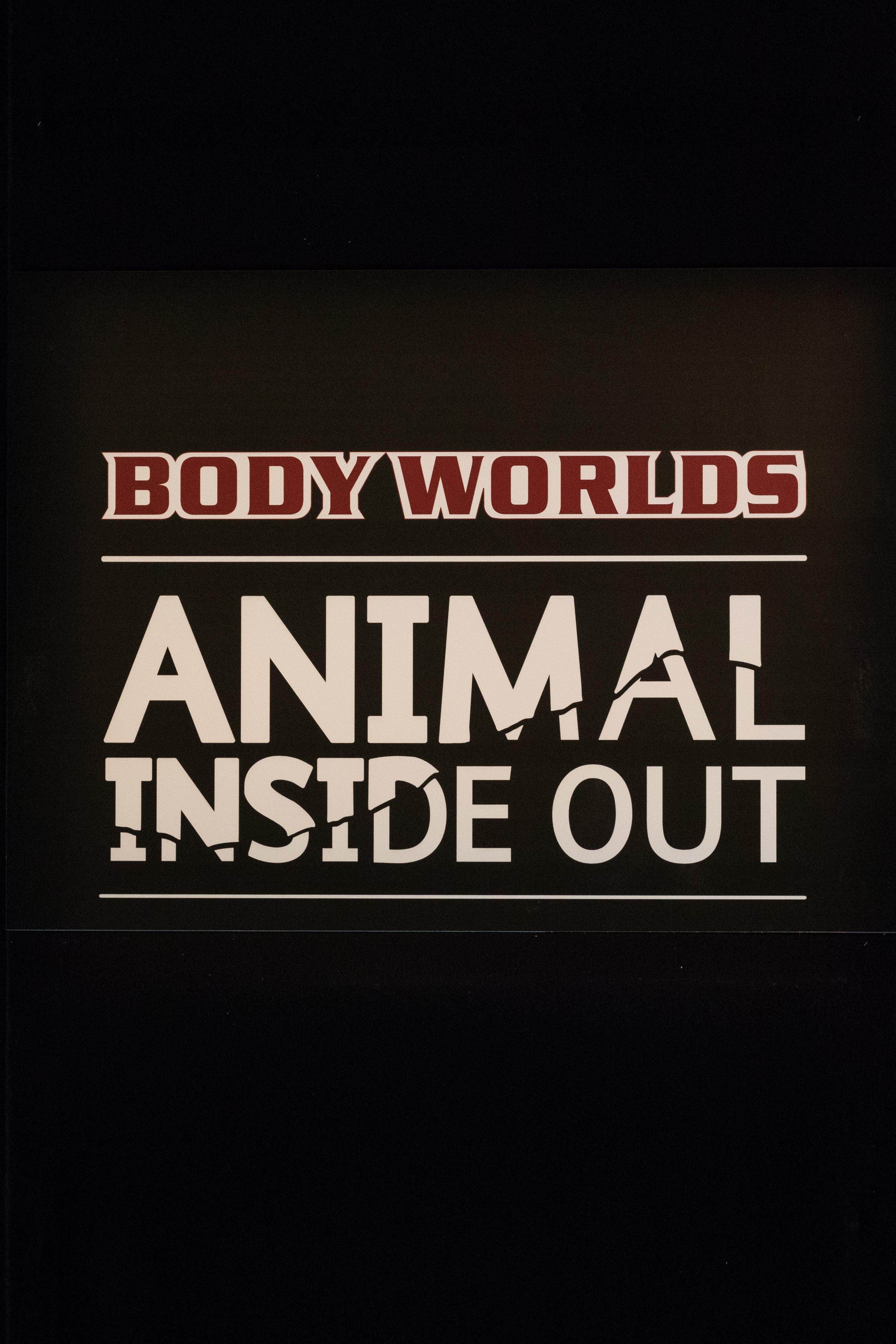 Body Worlds Animal Inside, Milwaukee County Zoo | https://www.roseclearfield.com