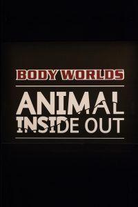 Body Worlds Animal Inside Out, Milwaukee County Zoo, May 6-September 4, 2017 | https://www.roseclearfield.com