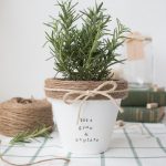 Last Minute DIY Mother's Day Gift Ideas - DIY Painted Terracotta Pot via The Beauty Dojo | https://www.roseclearfield.com