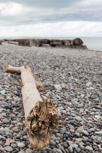 Stormy Beach Early May 2017 | https://www.roseclearfield.com