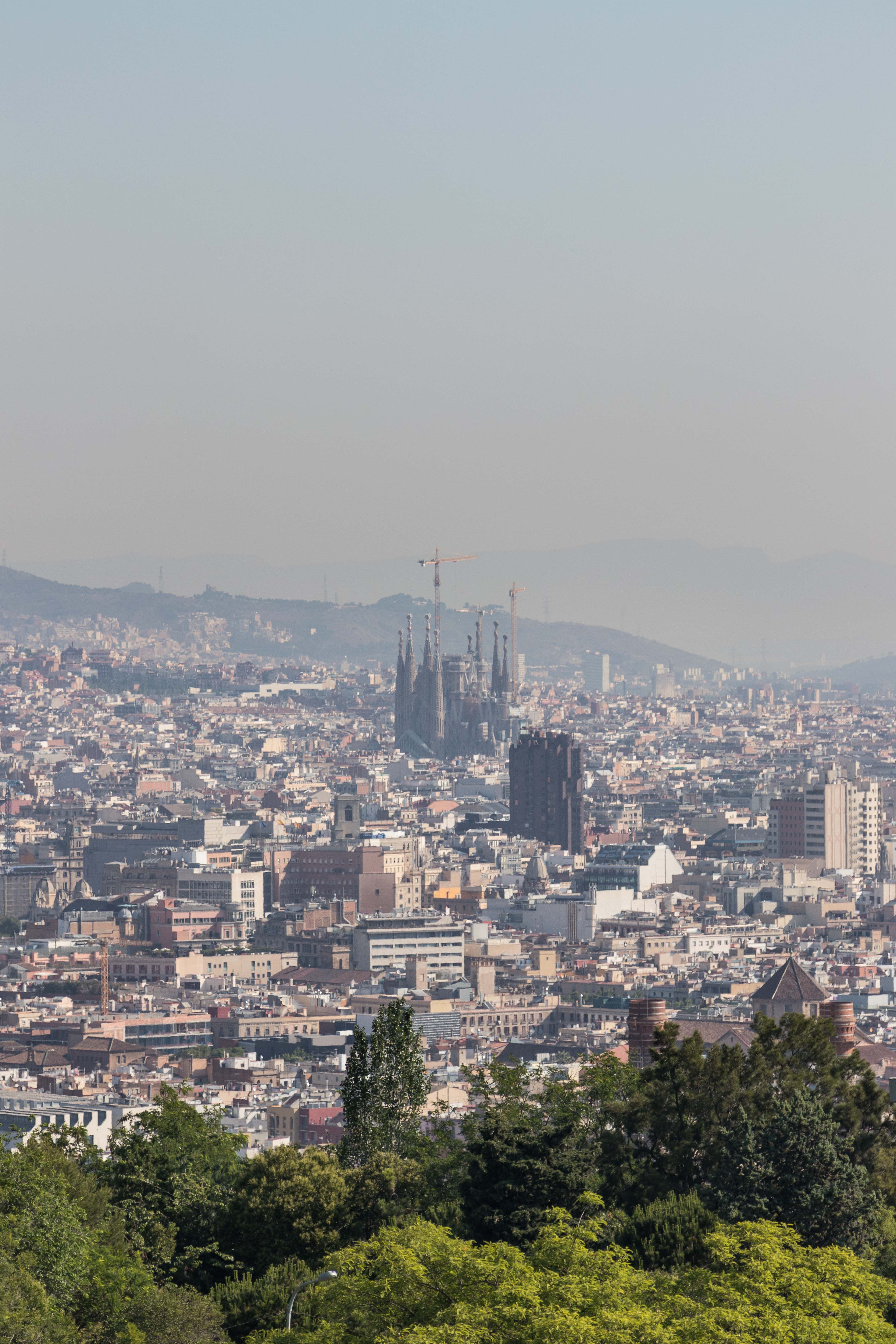 Barcelona Skyline in the Morning | https://www.roseclearfield.com