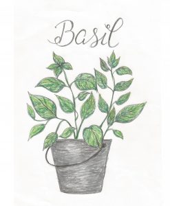 Free Summer Printables - Basil via Shades of Blue Interiors | https://www.roseclearfield.com