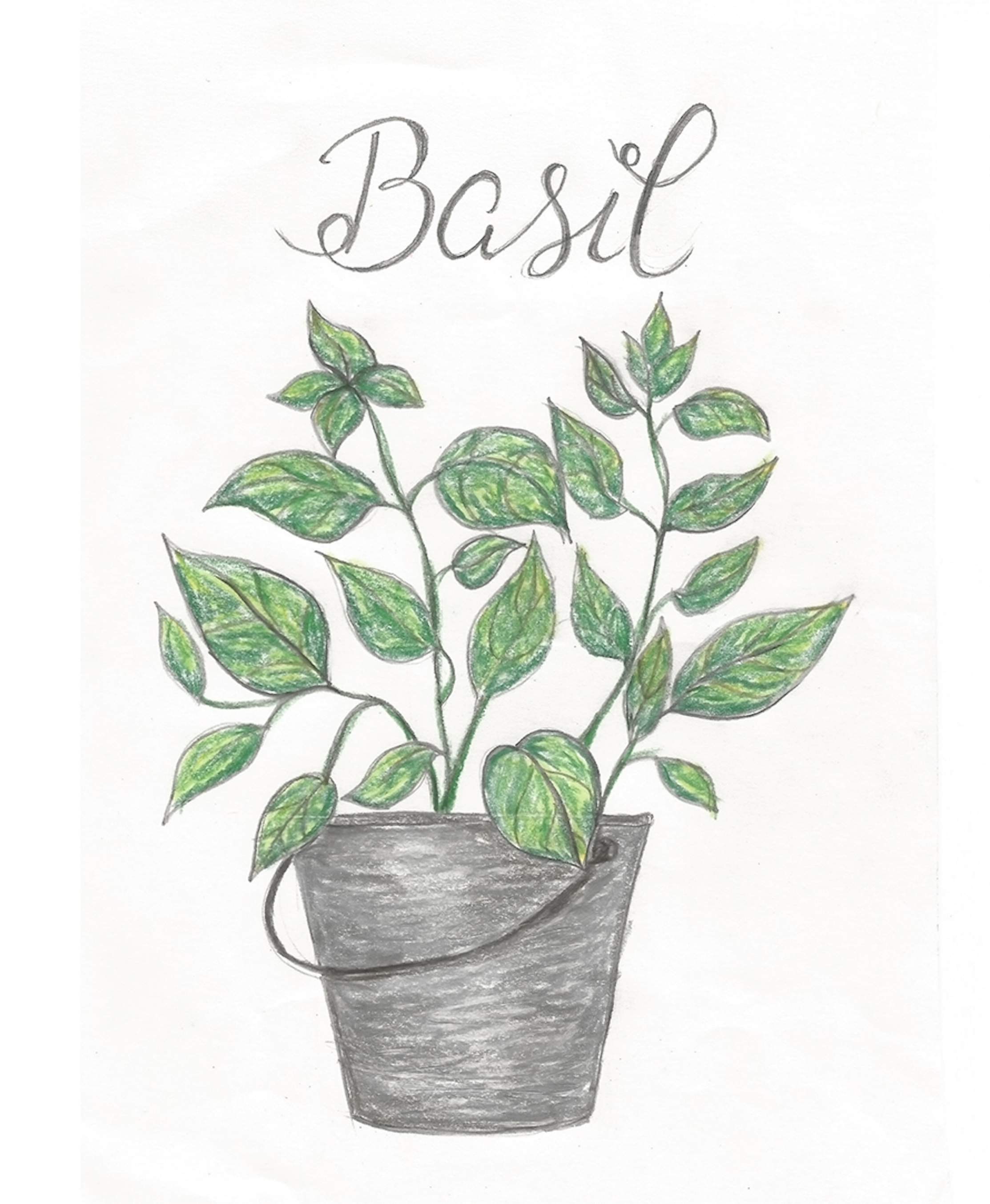 Free Summer Printables - Basil via Shades of Blue Interiors | https://www.roseclearfield.com