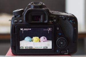 Canon 80D Live Screen Mode | https://www.roseclearfield.com