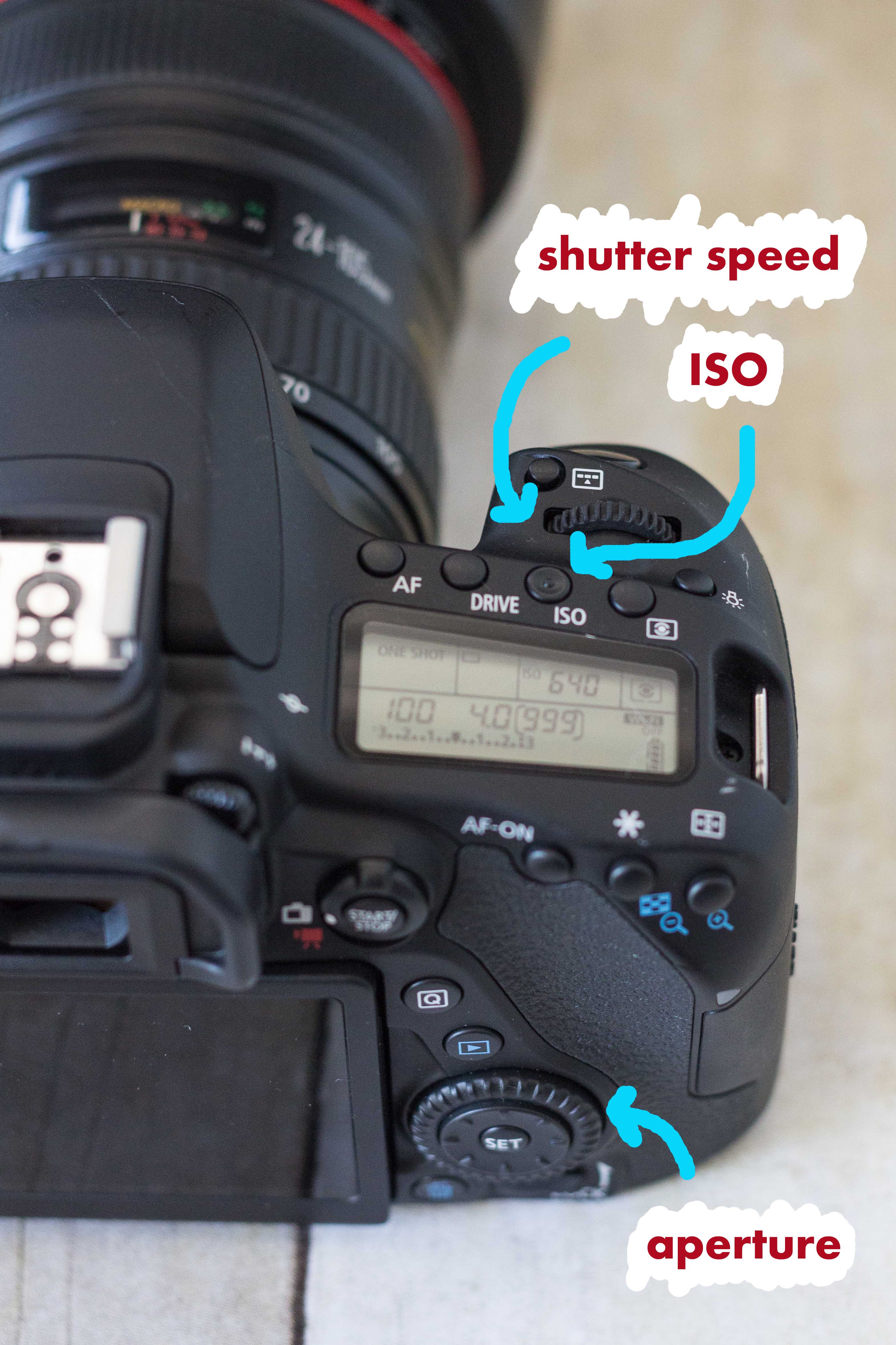 Canon 80D Settings Dials | https://www.roseclearfield.com