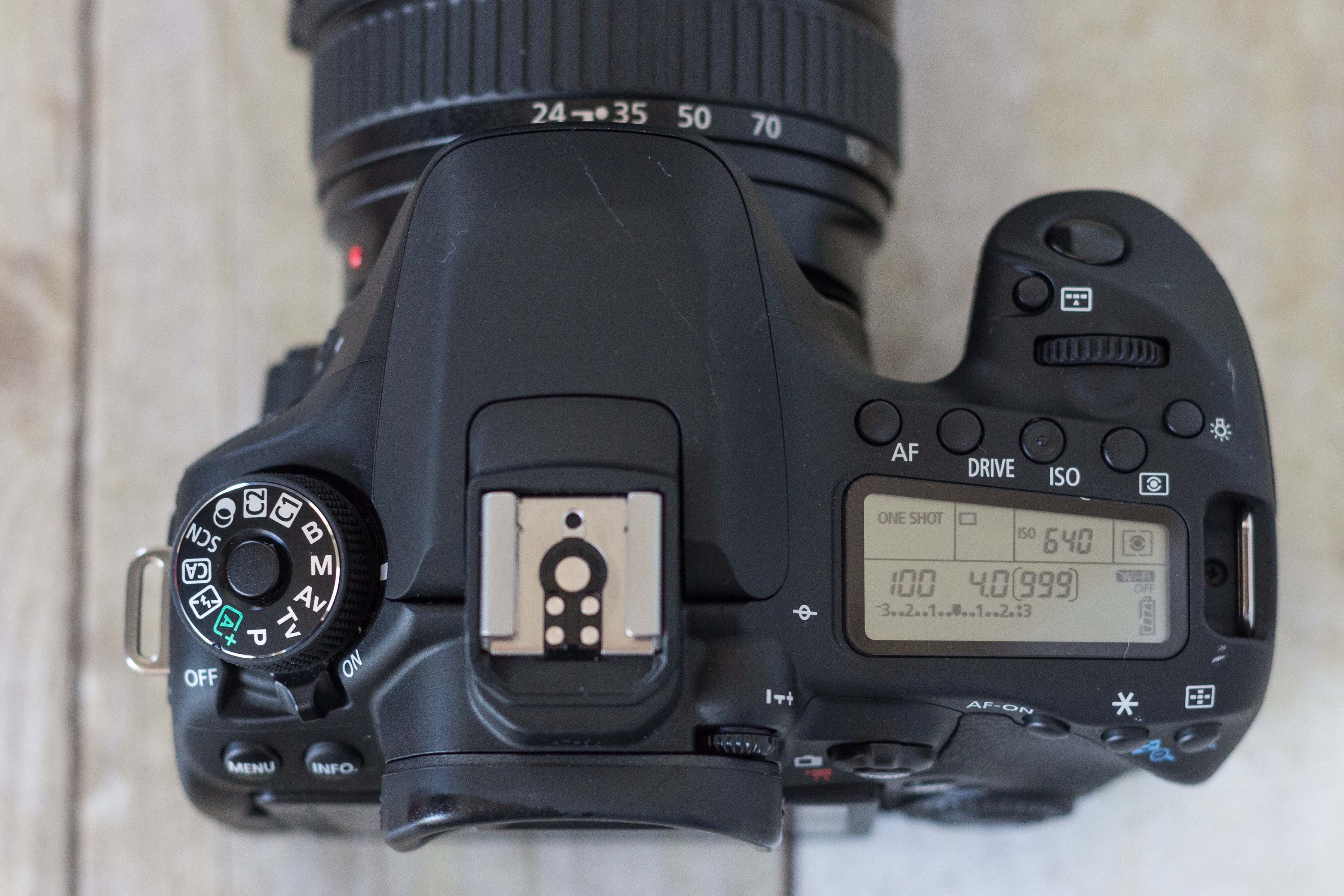 Canon 80D Top Deck Display | https://www.roseclearfield.com