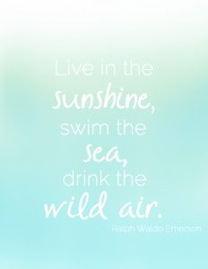 Free Summer Printables - Live in the Sunshine via A Burst of Beautiful | https://www.roseclearfield.com