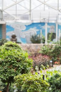 Mitchell Park Domes Summer Show June 2016 | https://www.roseclearfield.com