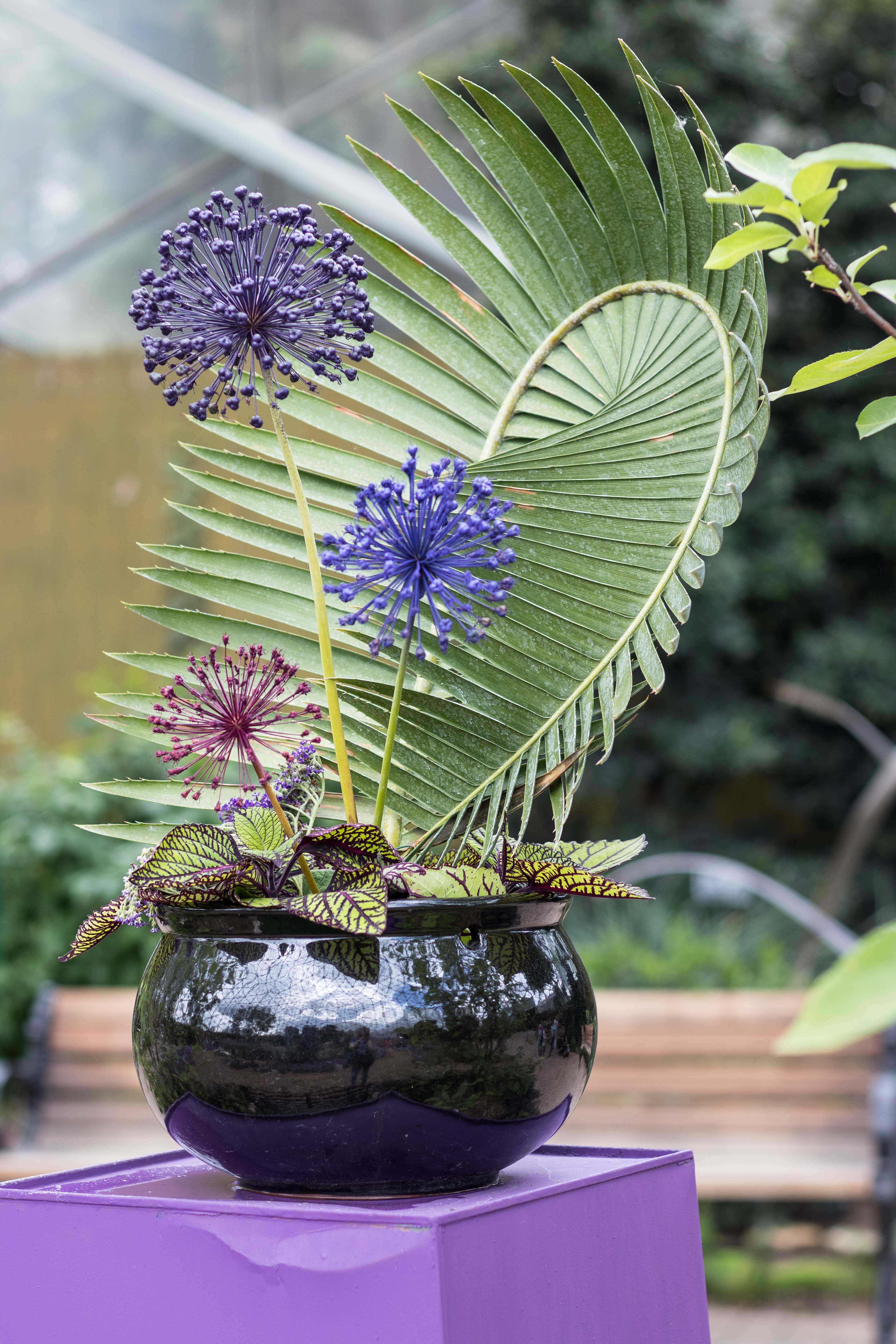 Mitchell Park Domes Ultra Violet Summer Floral Show | https://www.roseclearfield.com