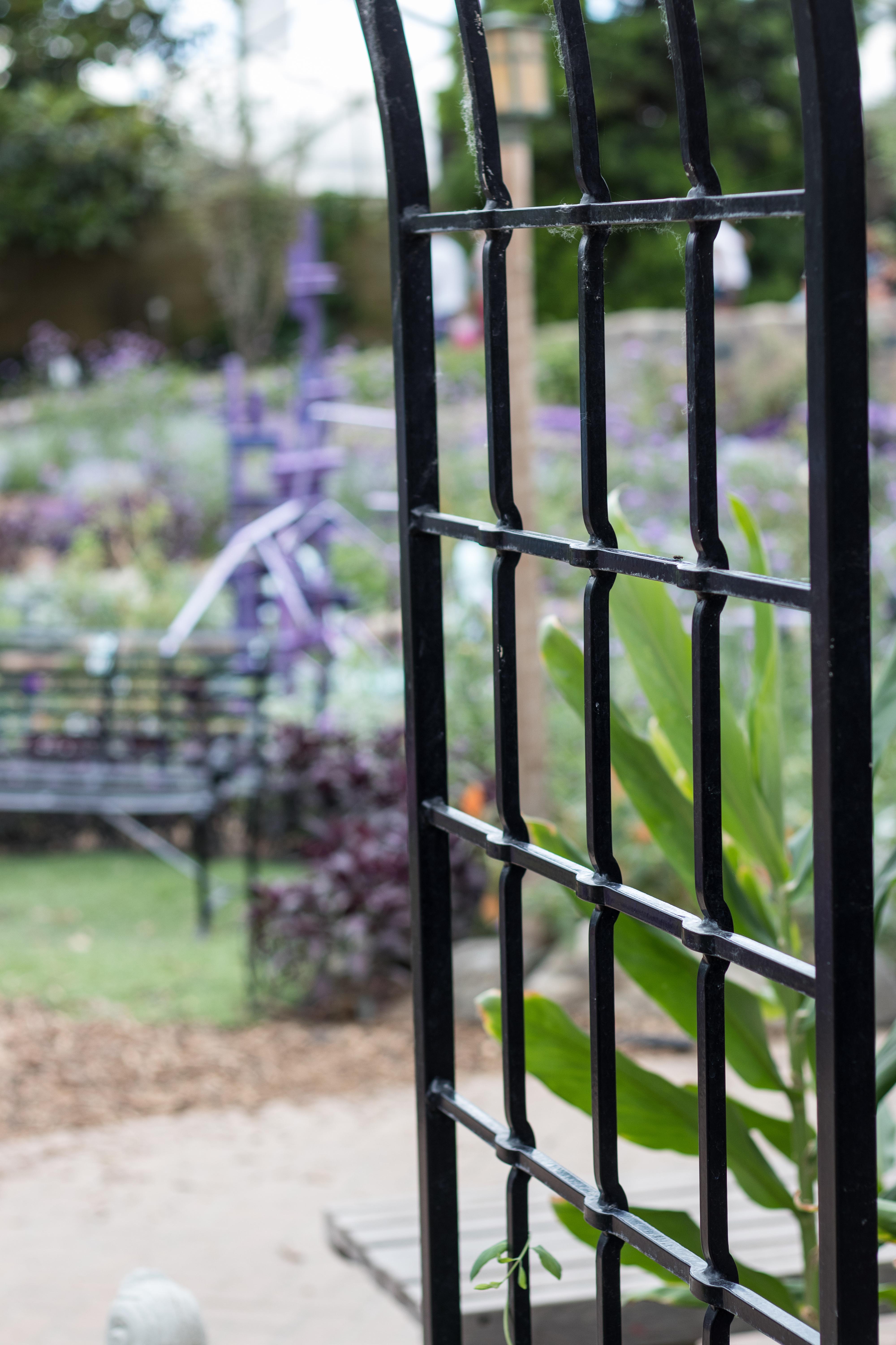 Mitchell Park Domes Ultra Violet Summer Floral Show | https://www.roseclearfield.com