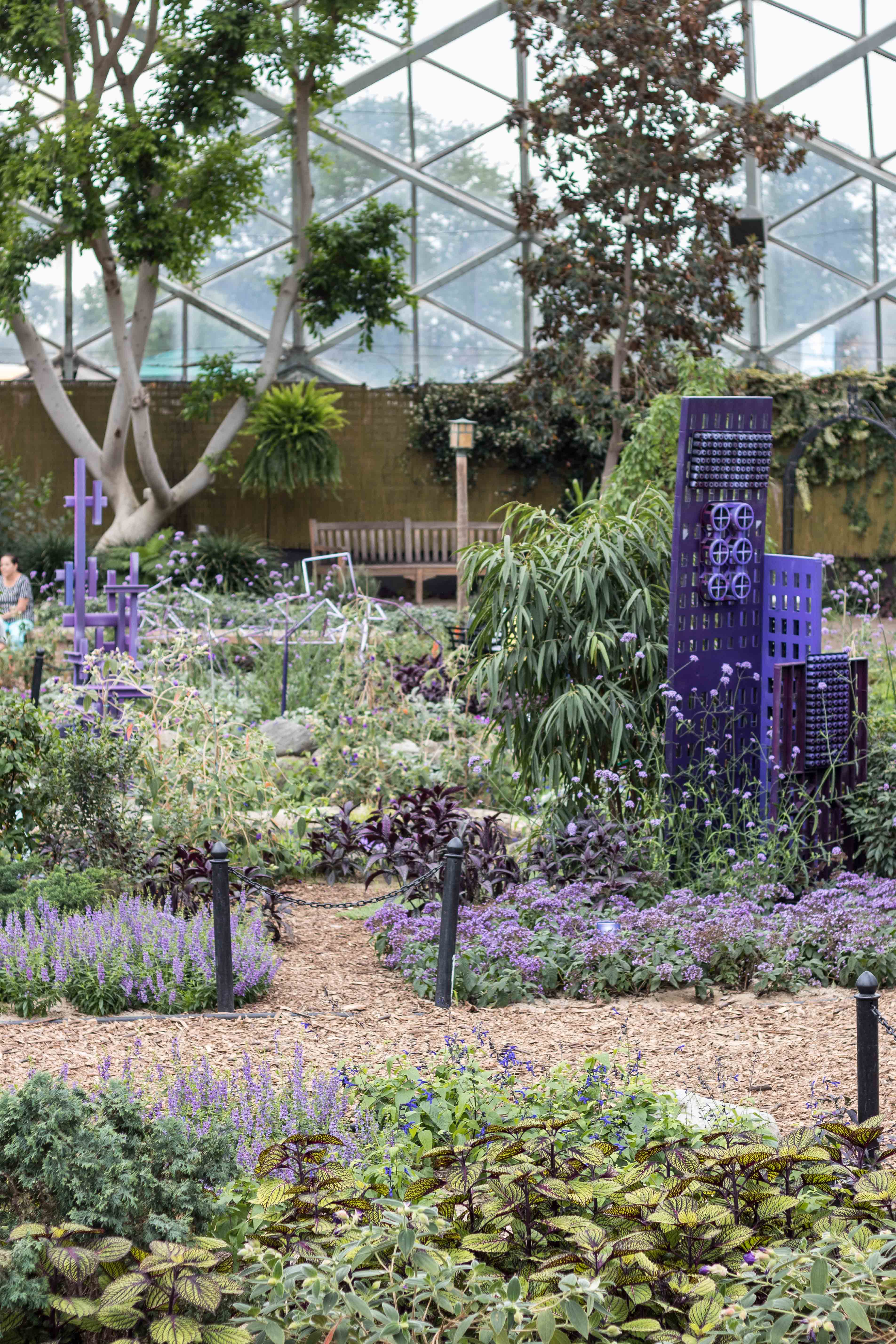 Mitchell Park Domes Ultra Violet Summer Floral Show | https://www.roseclearfield.com