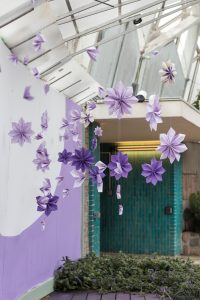 Mitchell Park Domes Ultra Violet Summer Floral Show | https://www.roseclearfield.com