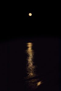 Moon Rise 5.11.17 | https://www.roseclearfield.com