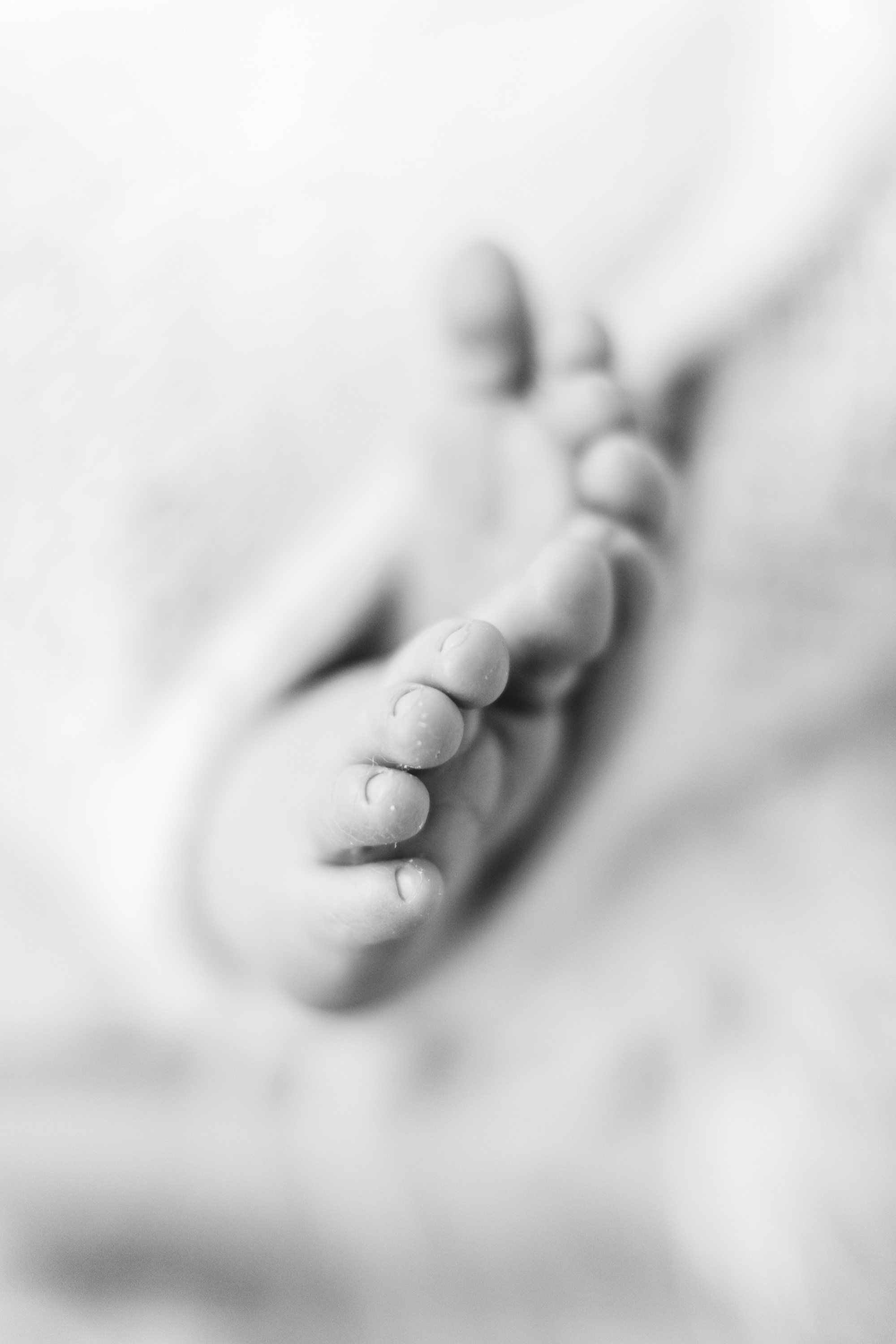 Tommy Feet Newborn Shoot - Lottie Lillian Photography | https://www.roseclearfield.com