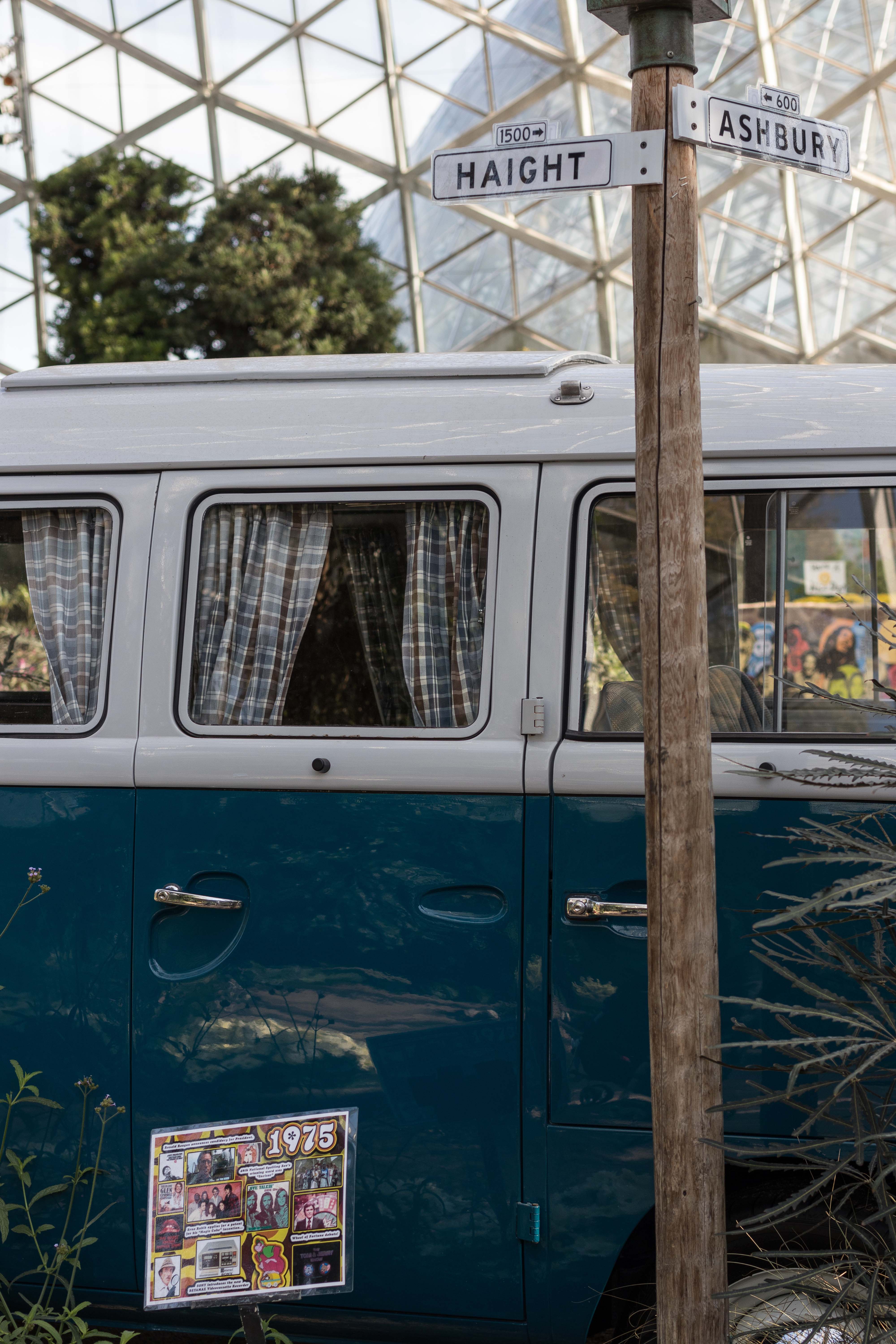 Mitchell Park Domes Flower Power Fall Floral Show | https://www.roseclearfield.com