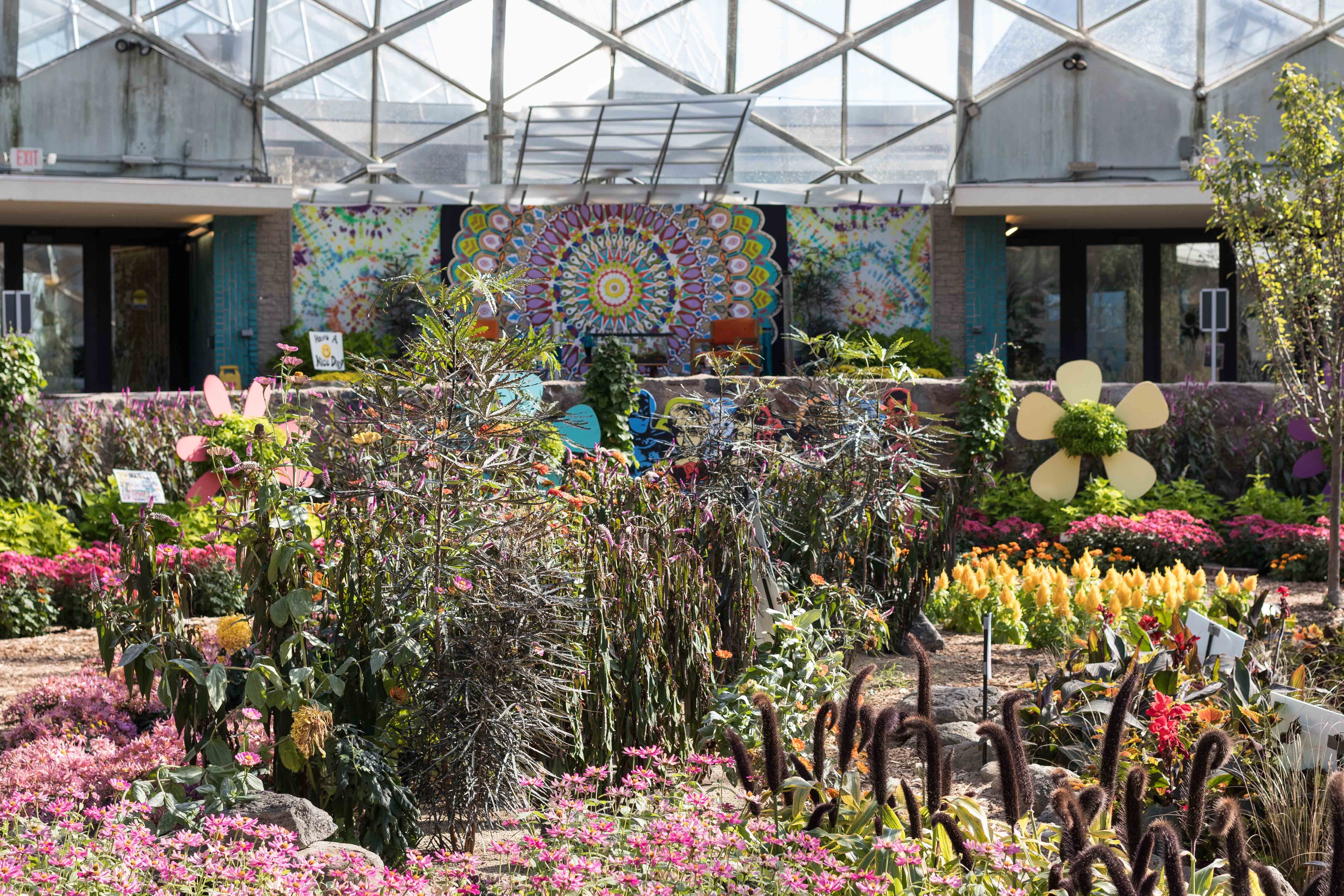 Mitchell Park Domes Flower Power Fall Floral Show | https://www.roseclearfield.com