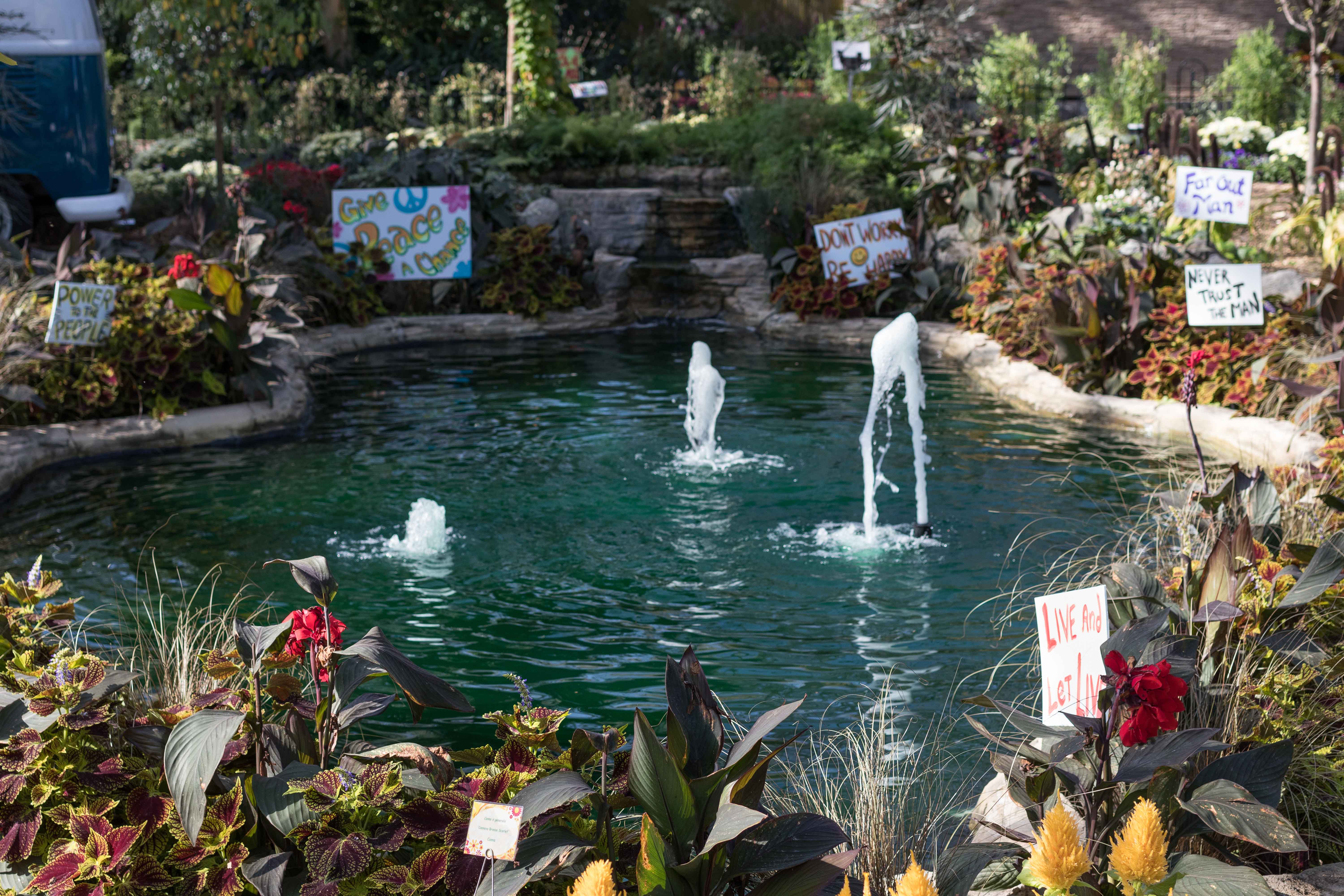 Mitchell Park Domes Flower Power Fall Floral Show | https://www.roseclearfield.com