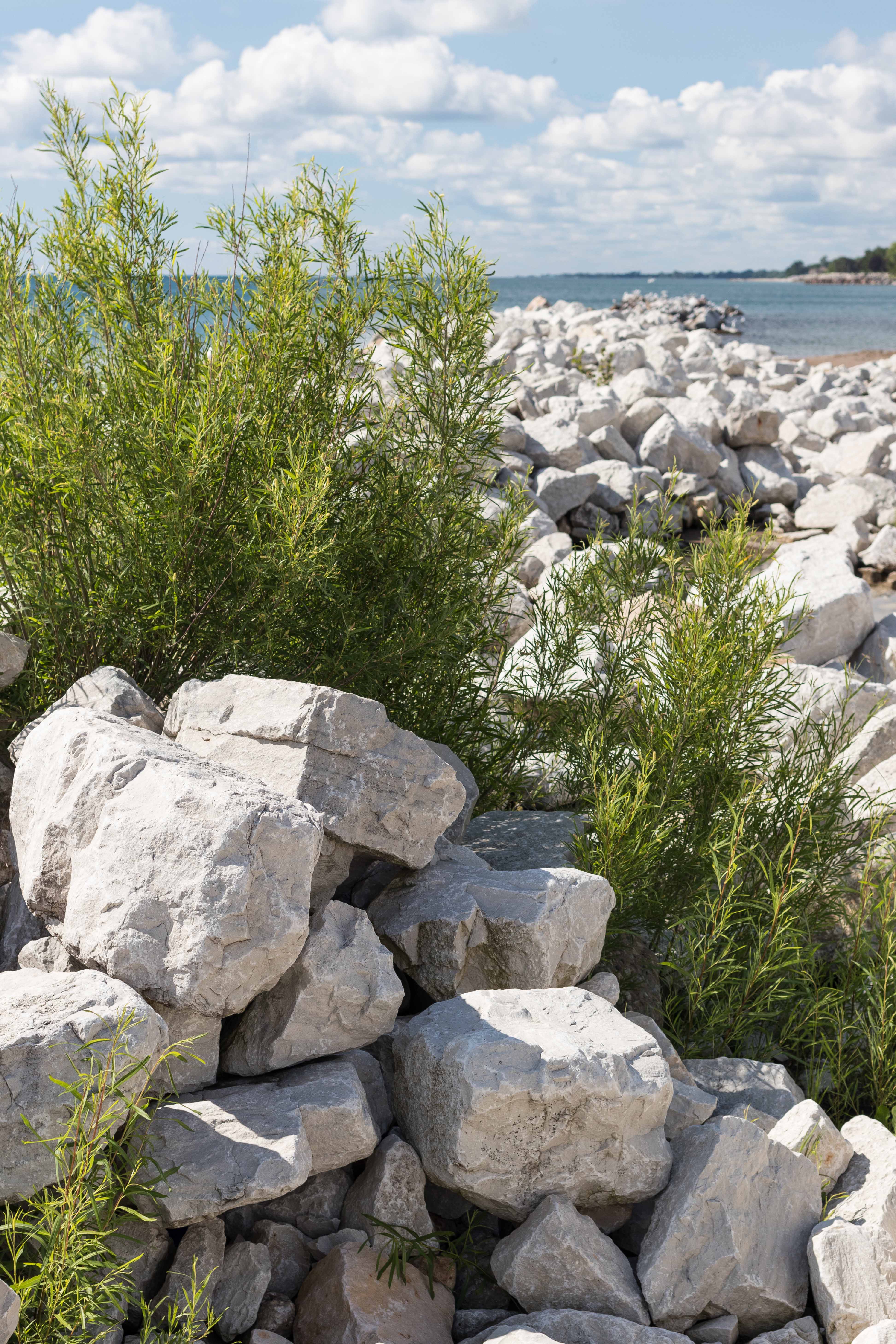 Kenosha Lakefront June 2017 Instagram Meetup | https://www.roseclearfield.com