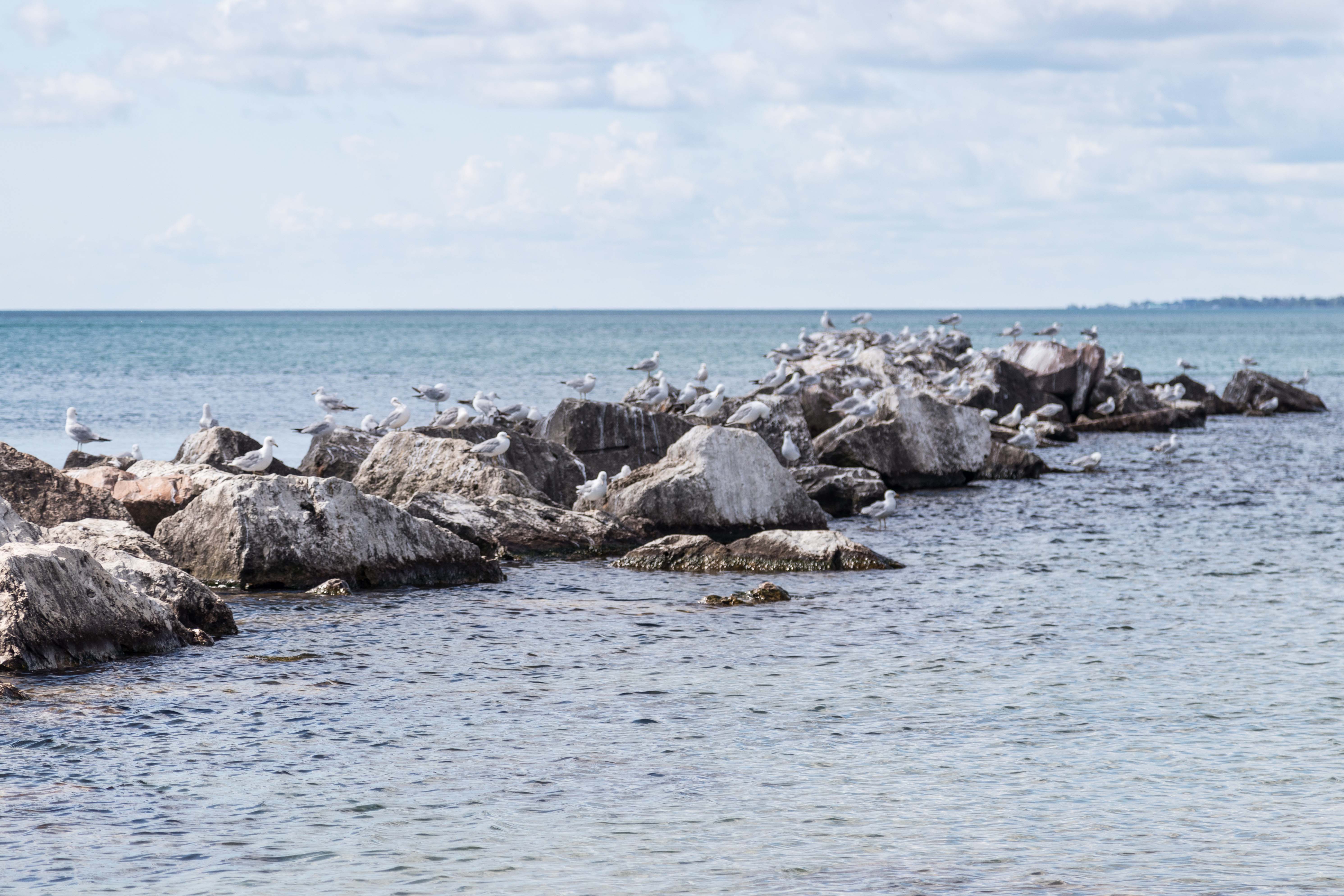 Kenosha Lakefront June 2017 Instagram Meetup | https://www.roseclearfield.com