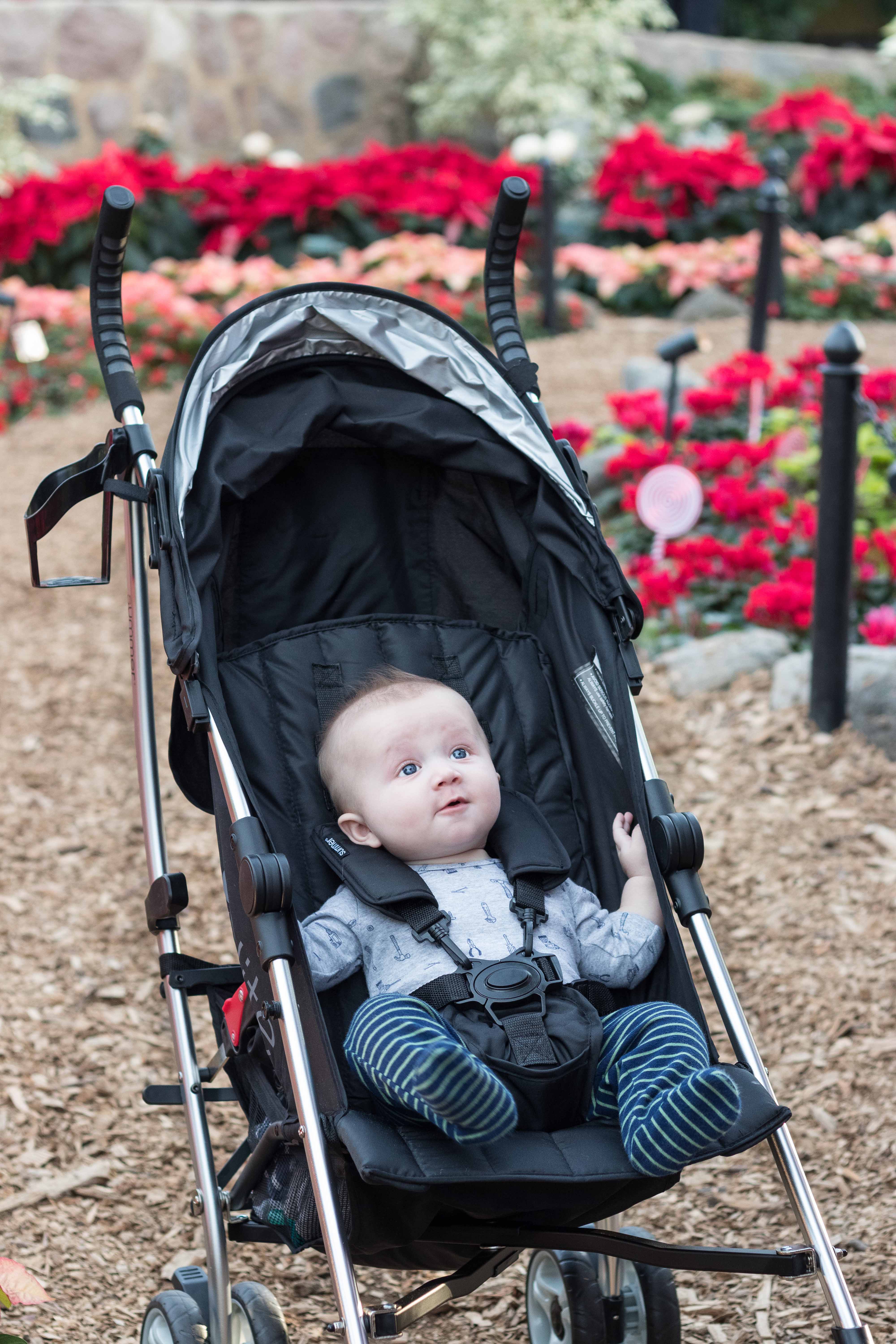 Mitchell Park Domes Naughty or Nice Holiday Floral Show | https://www.roseclearfield.com