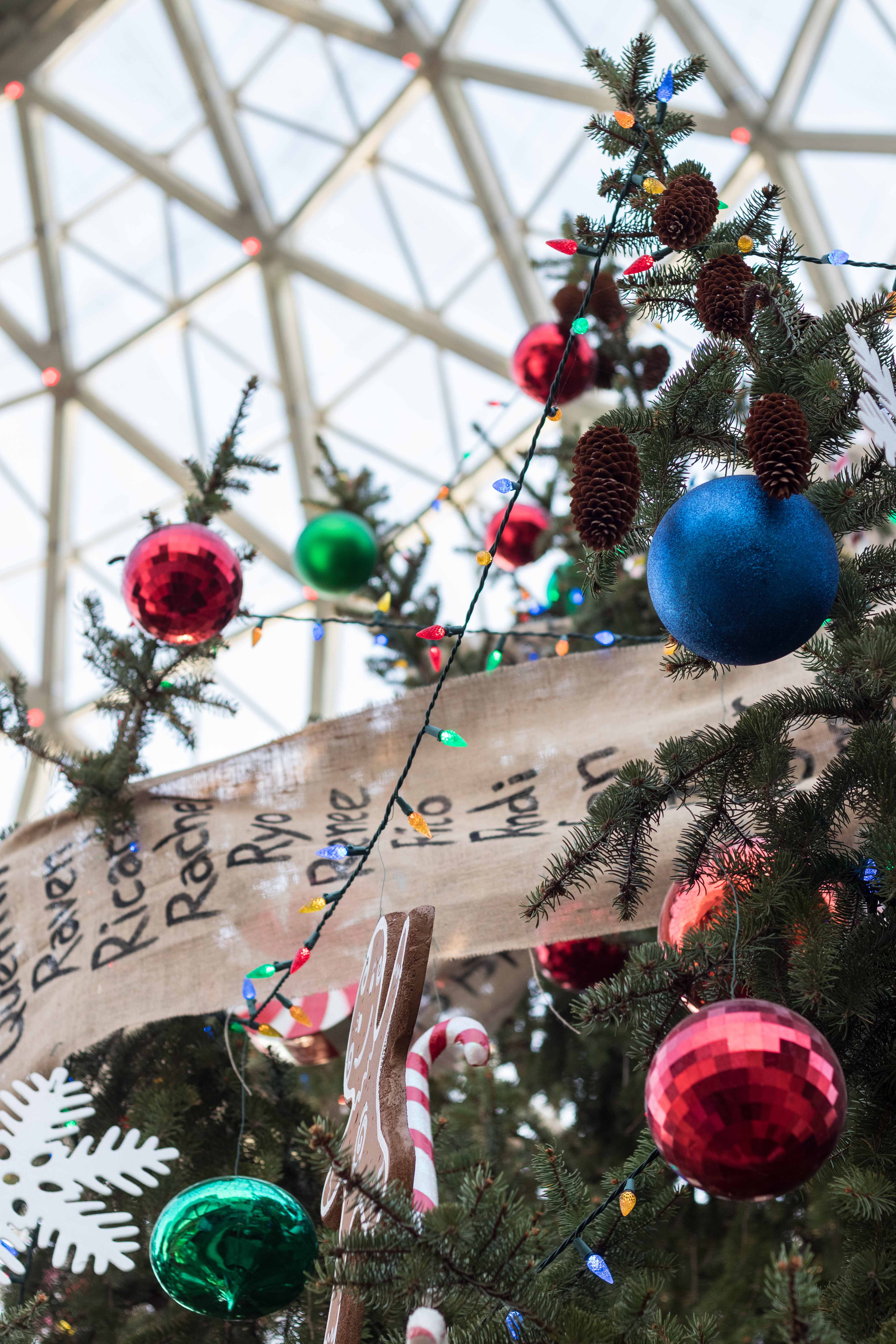 Mitchell Park Domes Naughty or Nice Holiday Floral Show | https://www.roseclearfield.com